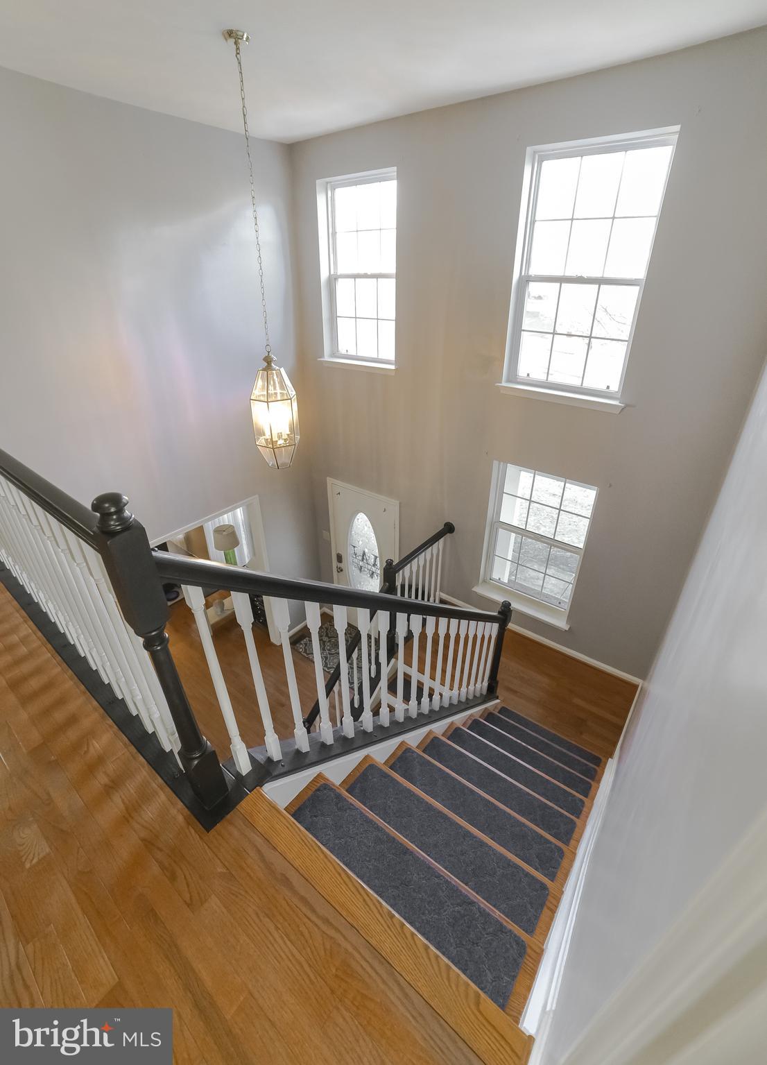 CEDAR TREE - Residential