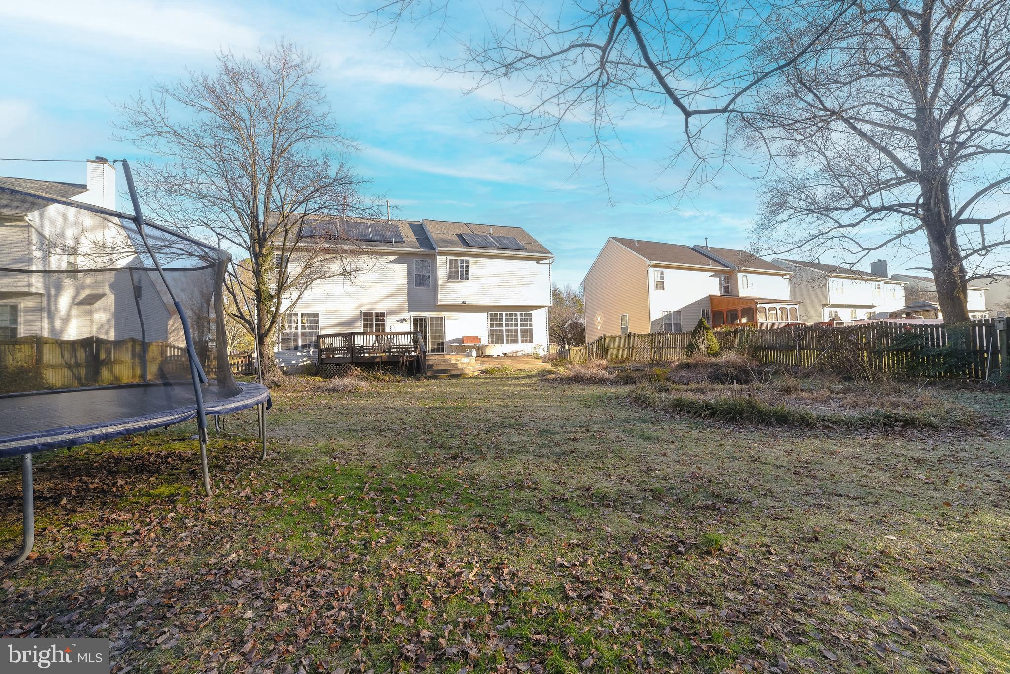 CEDAR TREE - Residential