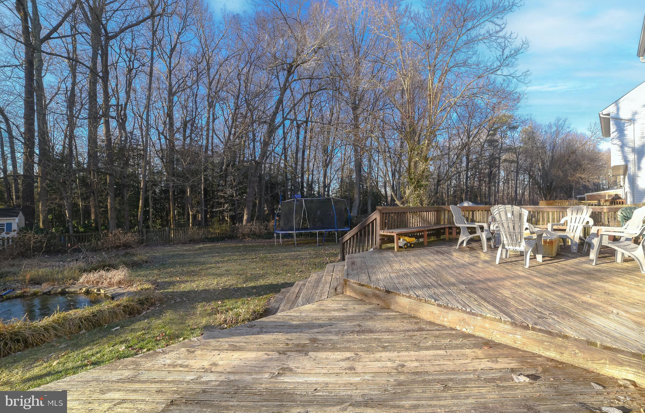 CEDAR TREE - Residential