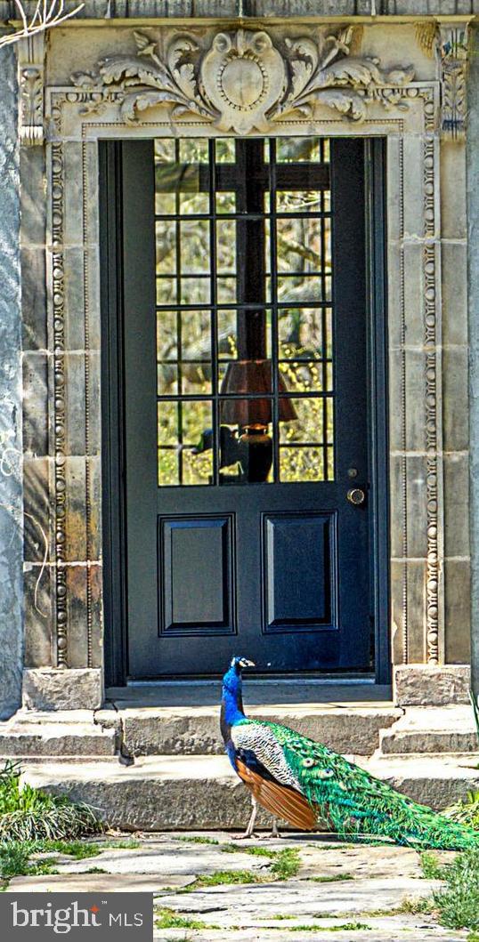 227 JACKSON ROAD