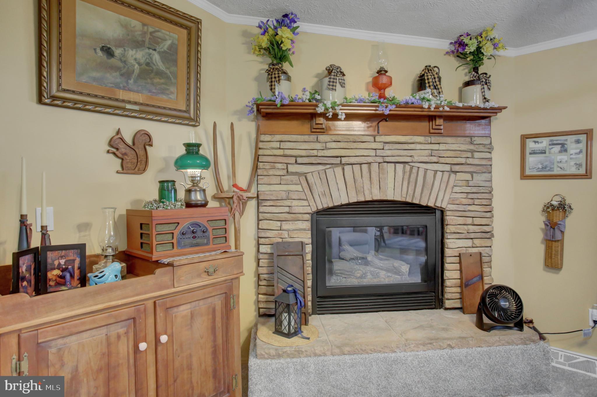 SHIPPENSBURG VILLAGE - Residential