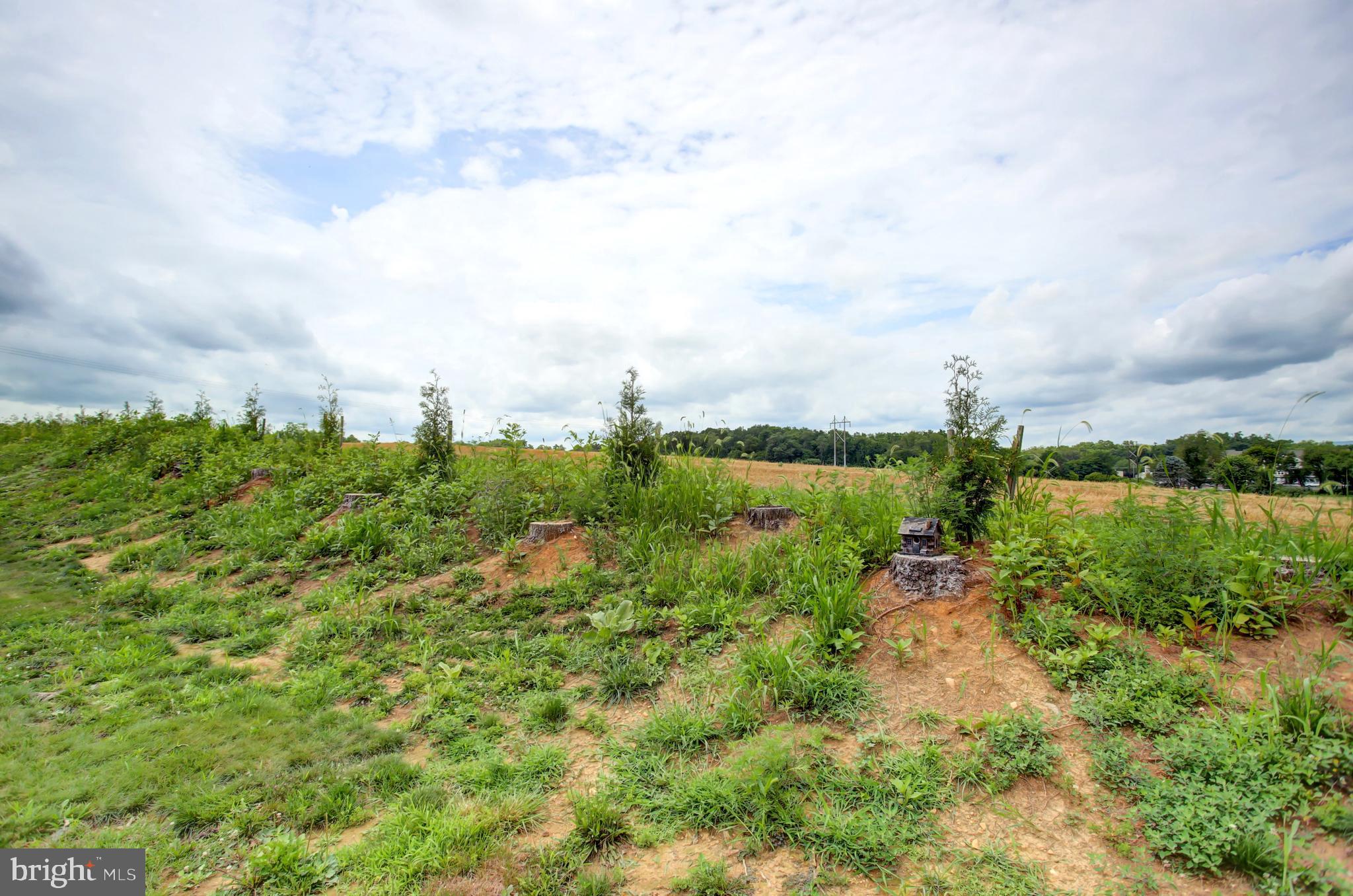 SHIPPENSBURG VILLAGE - Residential
