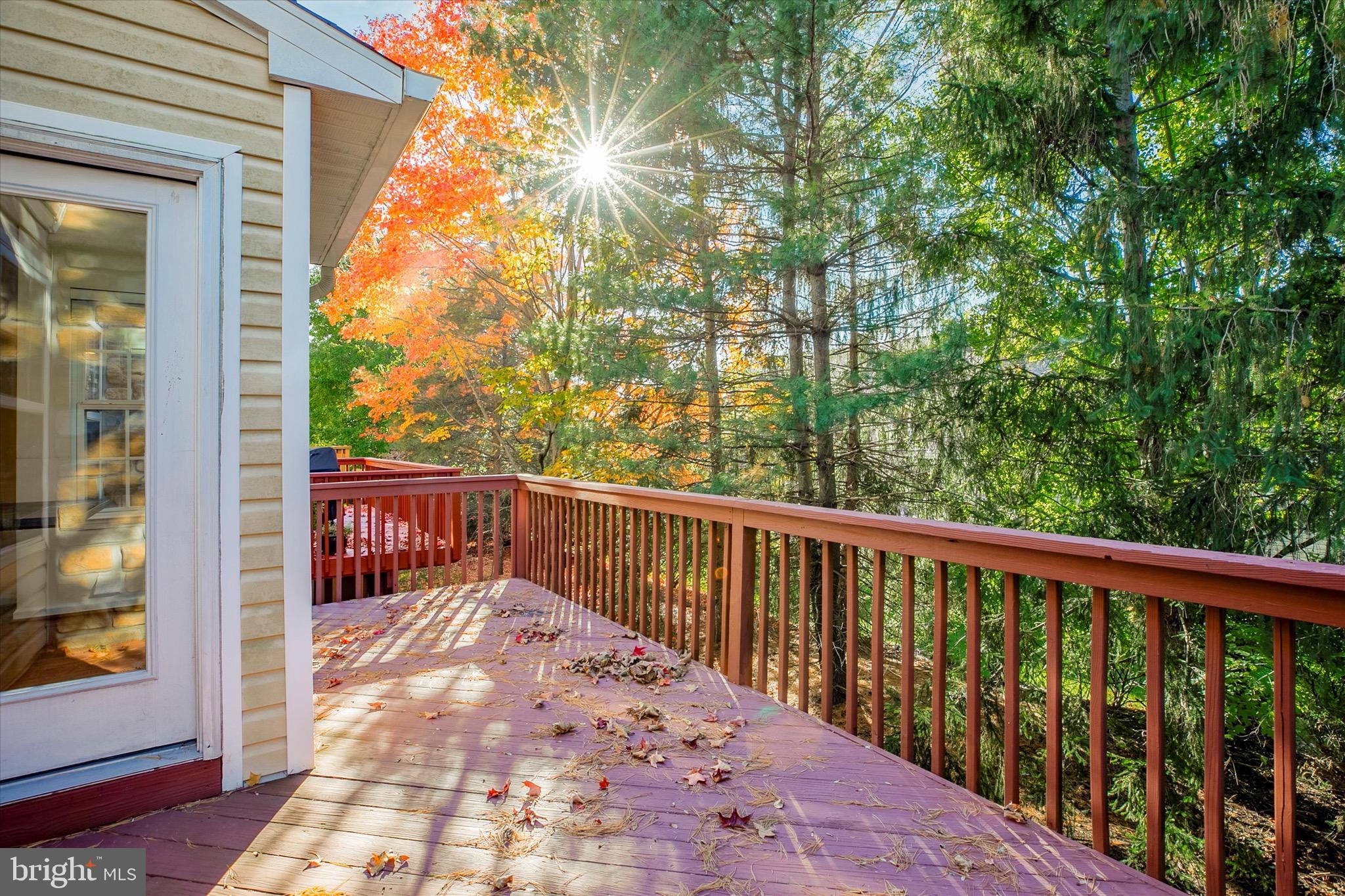 BLUE BELL CC - Residential Lease