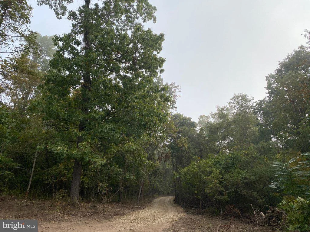 Lot 1 Amity Road, Duncannon, PA 17020