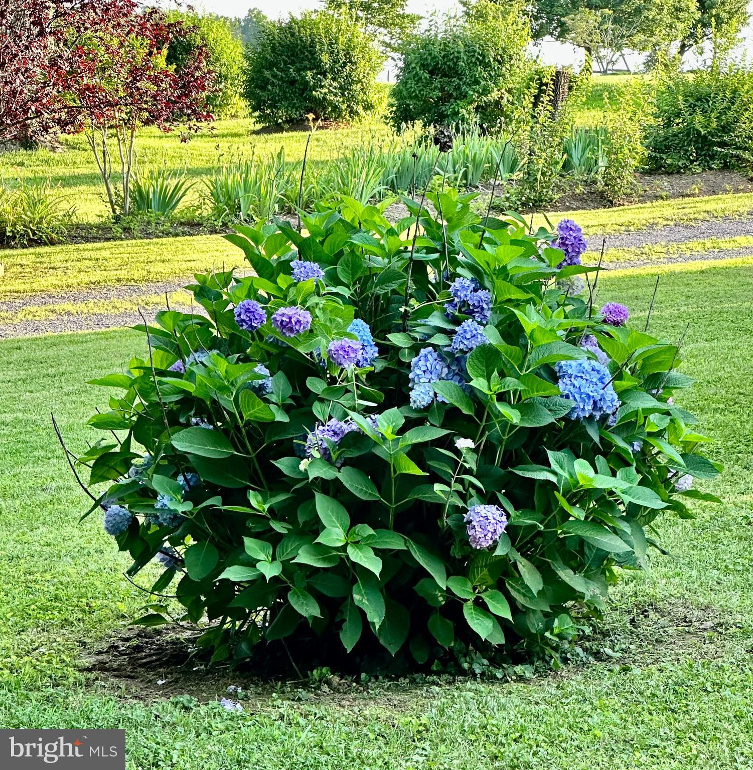 COPELEY FIELDS - Residential