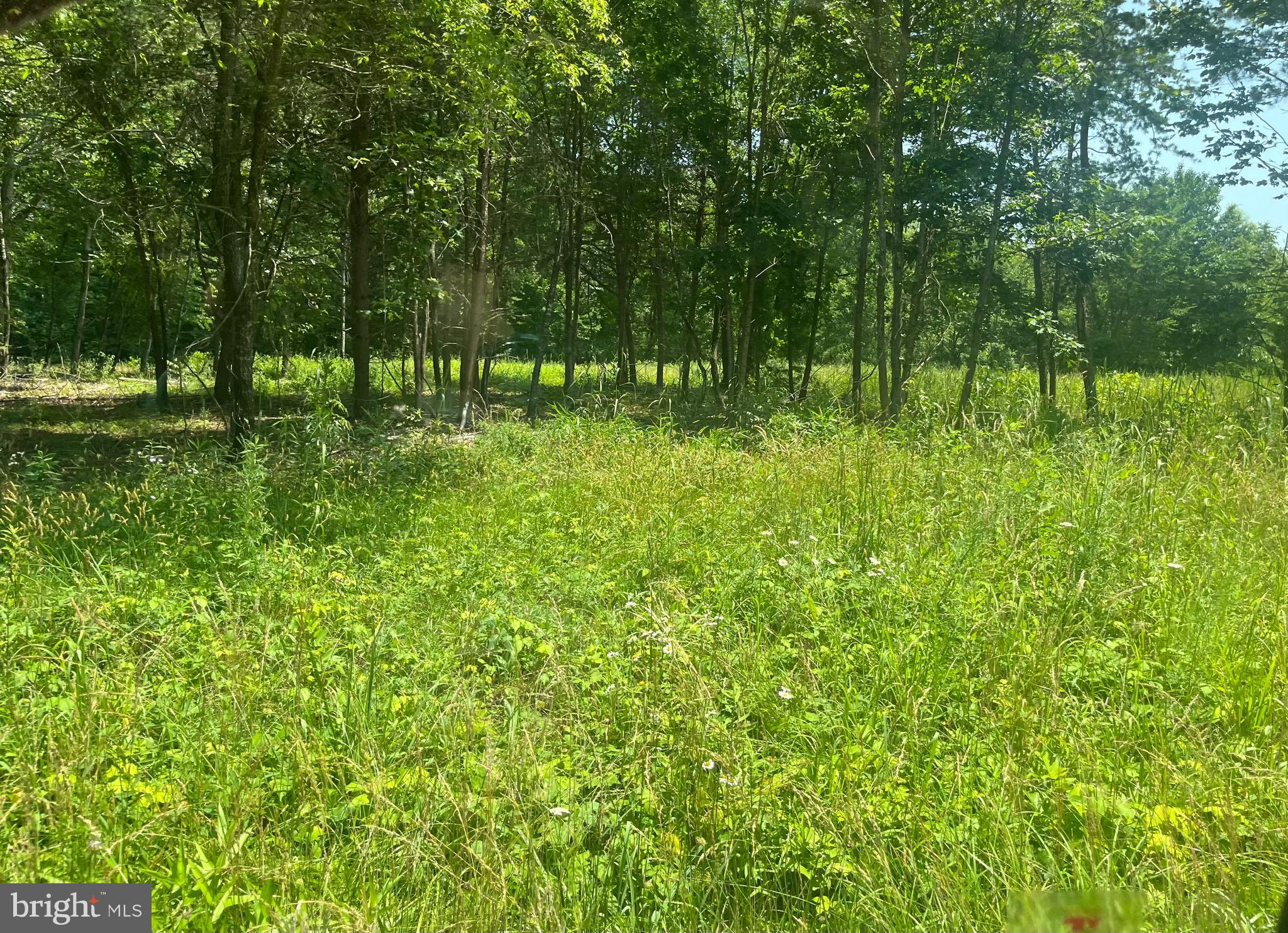 Lot 1 KENTUCKY SPRINGS RD