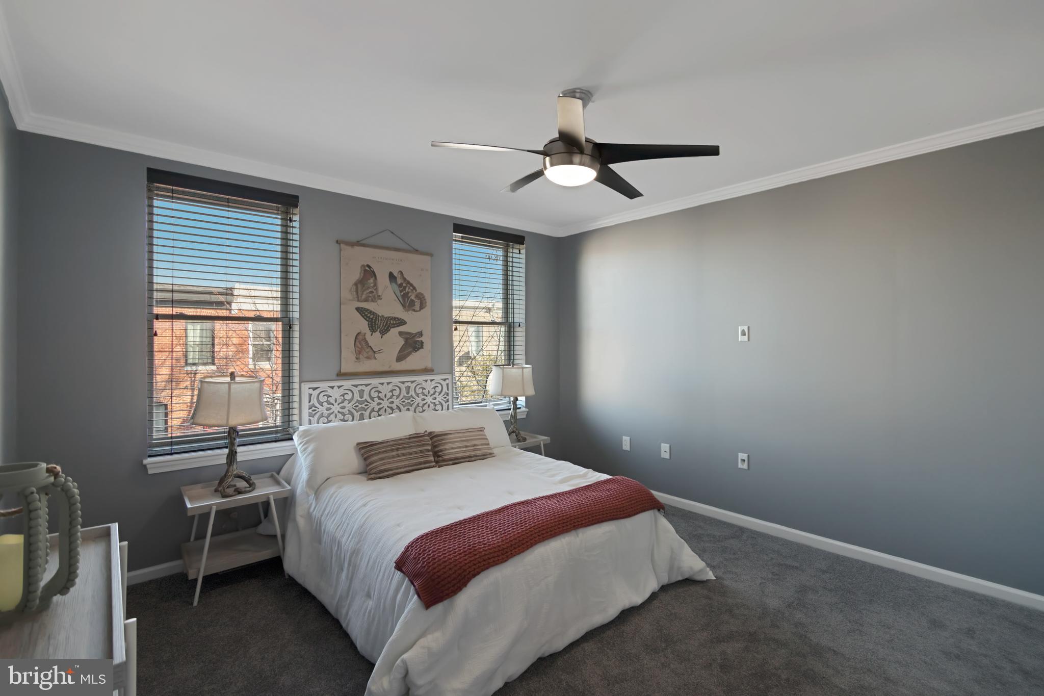 PATTERSON PARK - Residential