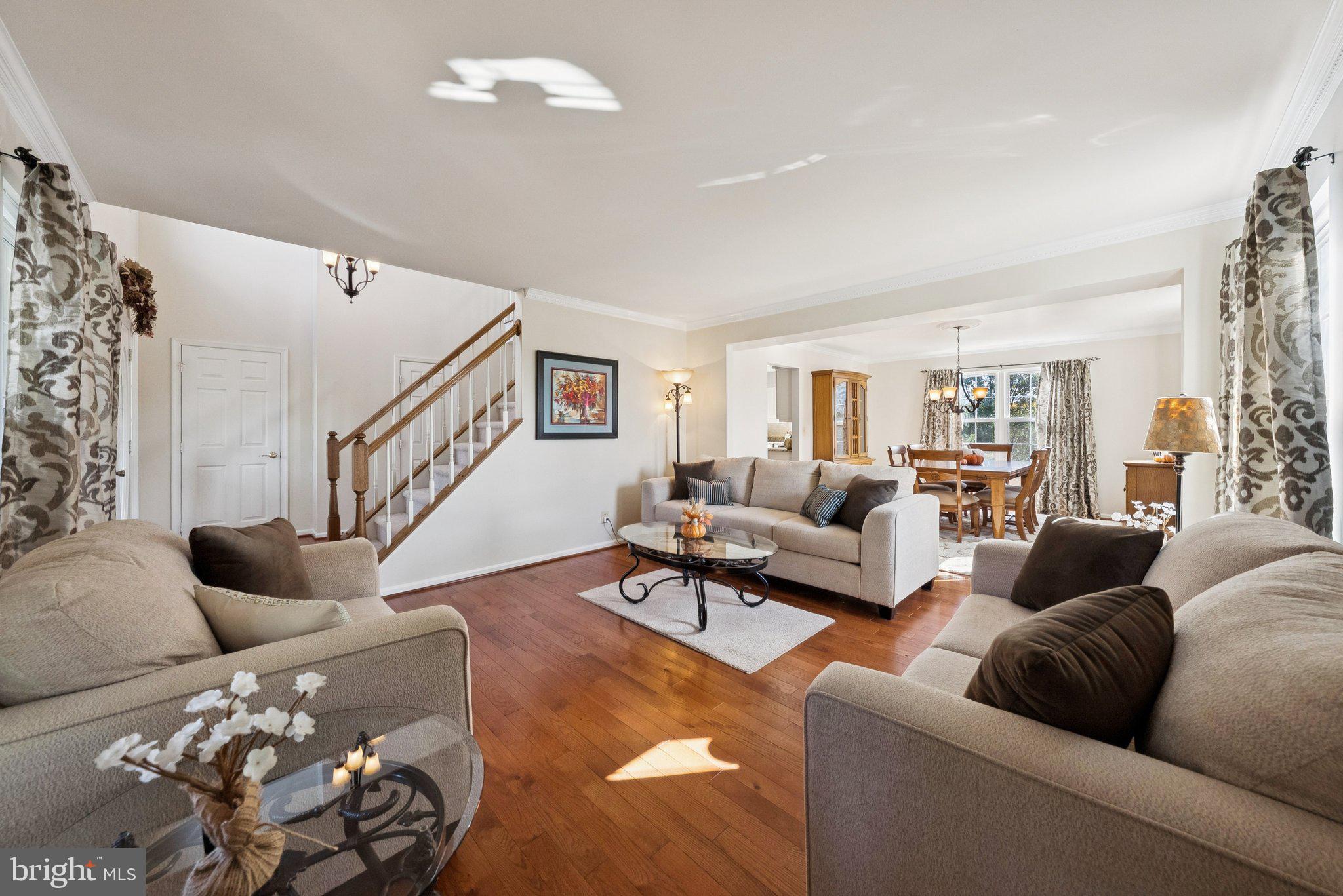 9579 MANASSAS FORGE DRIVE