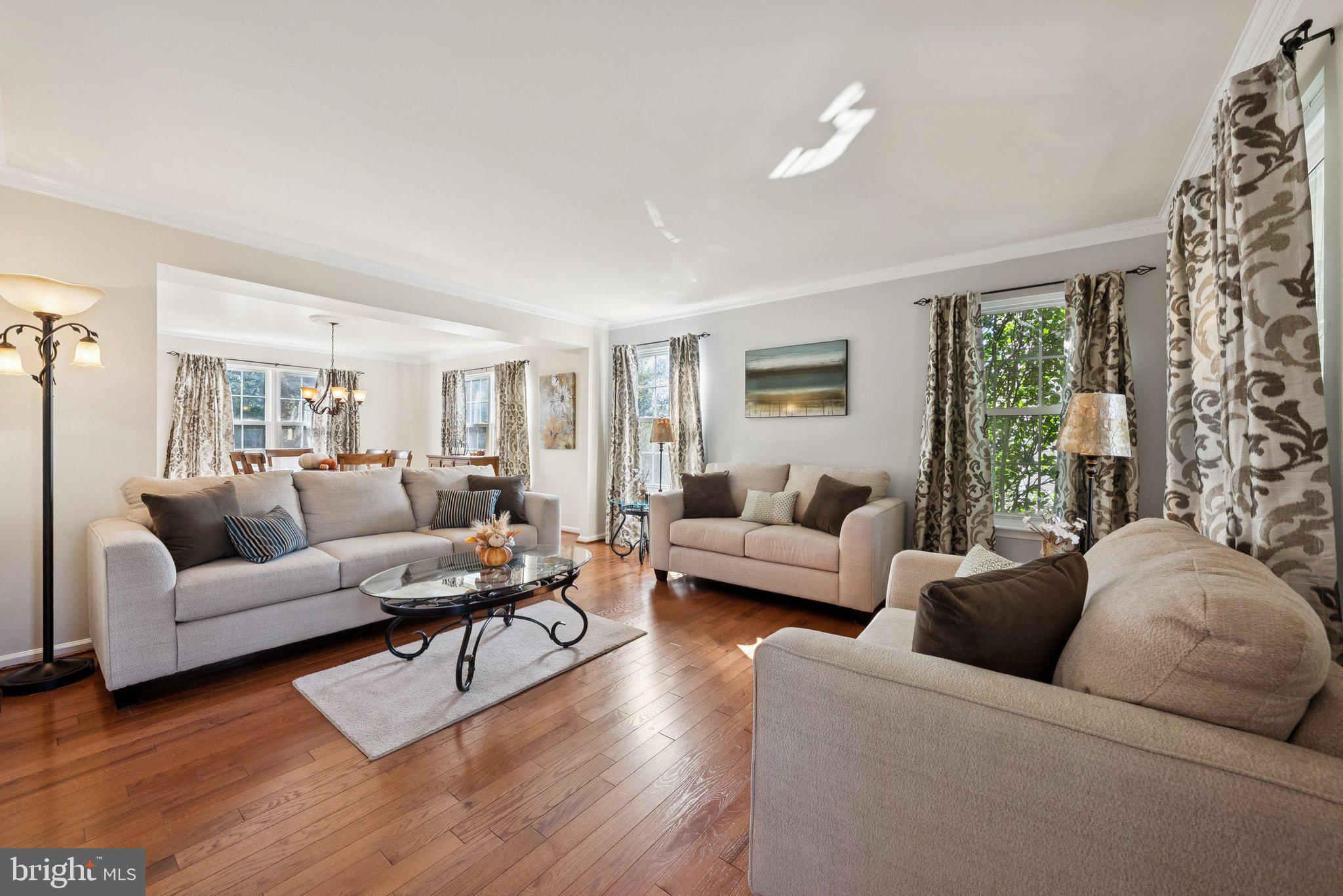 9579 MANASSAS FORGE DRIVE