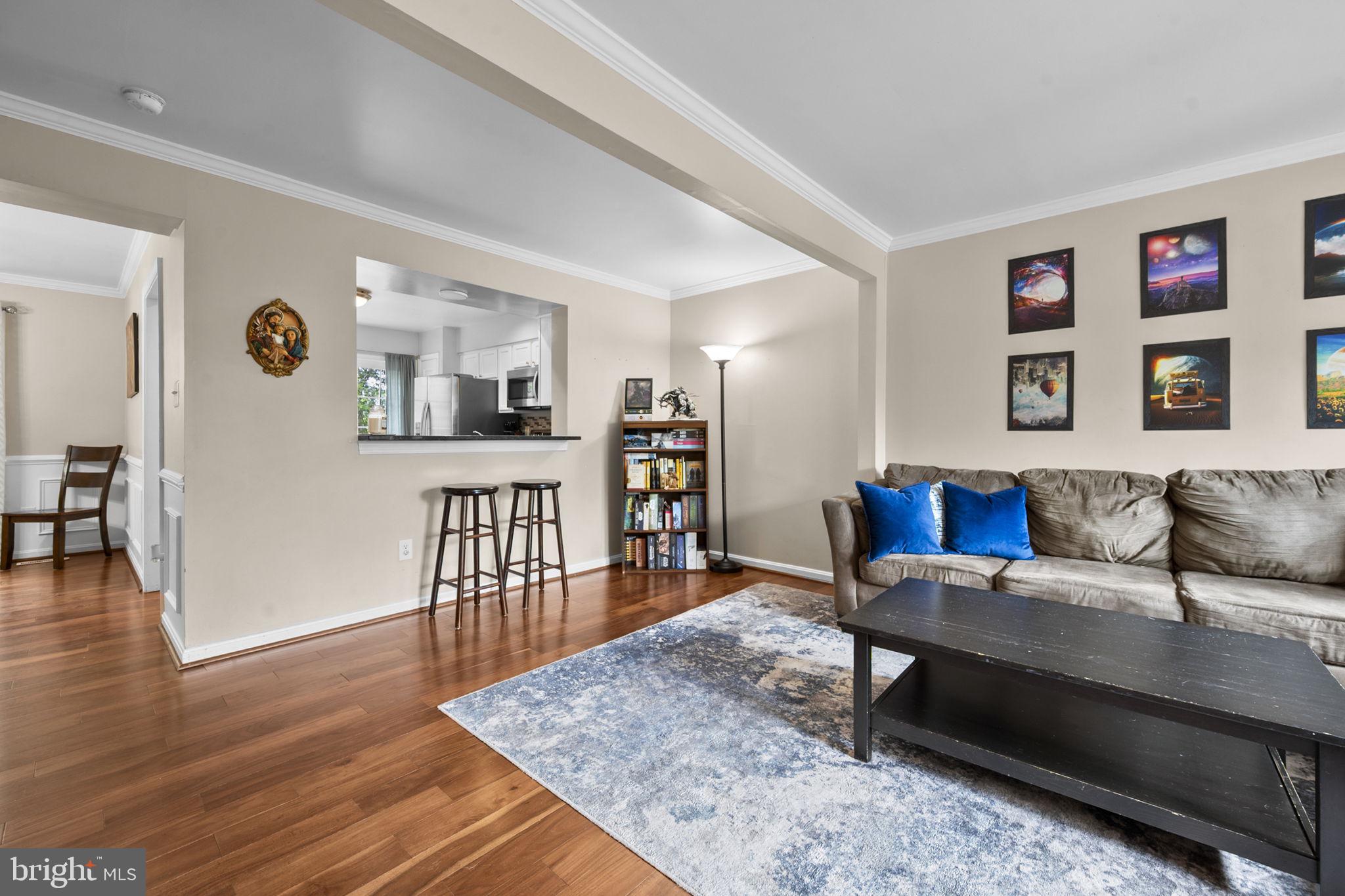 14519 SULLY LAKE COURT