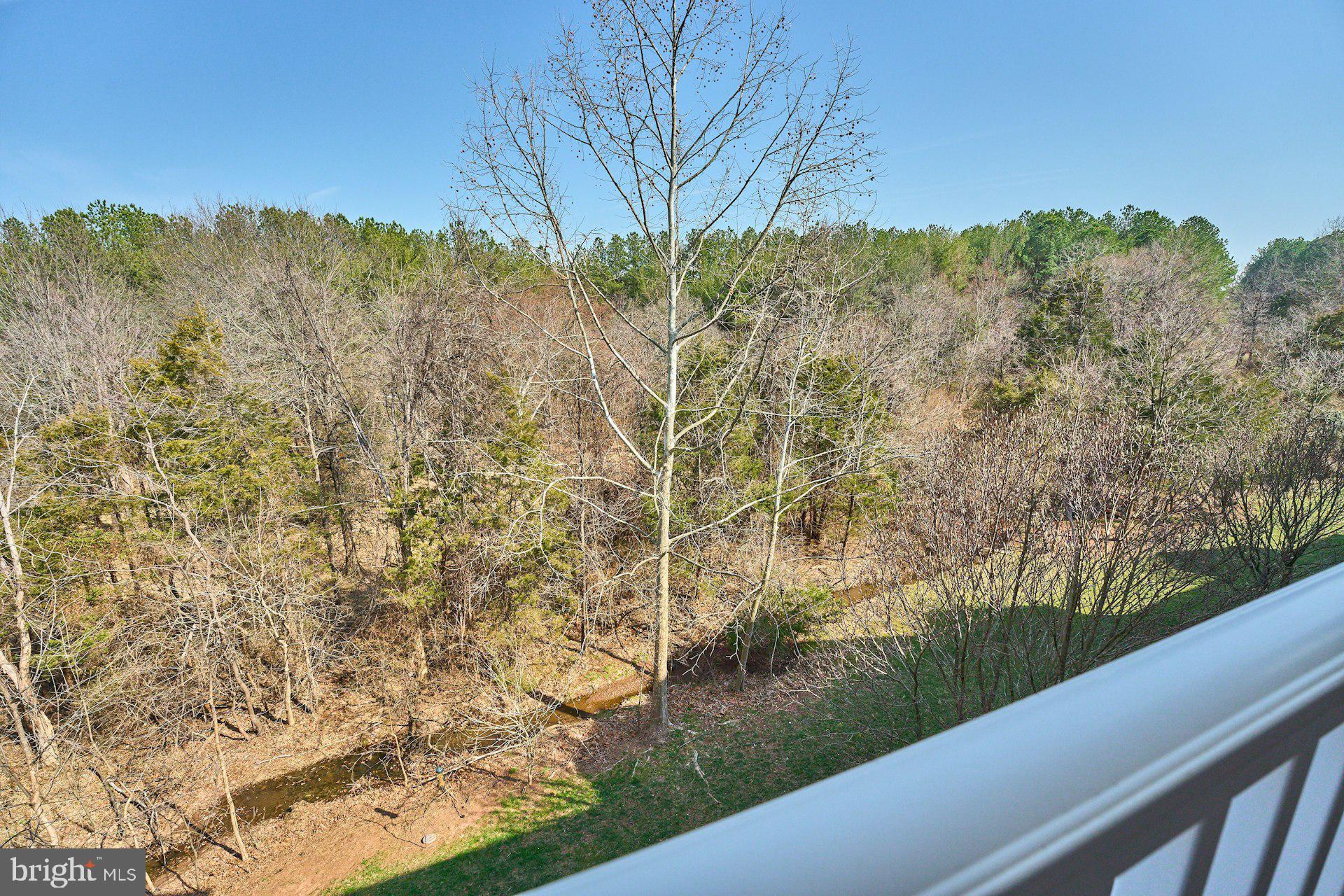 REGENCY AT DOMINION VALLEY - Residential