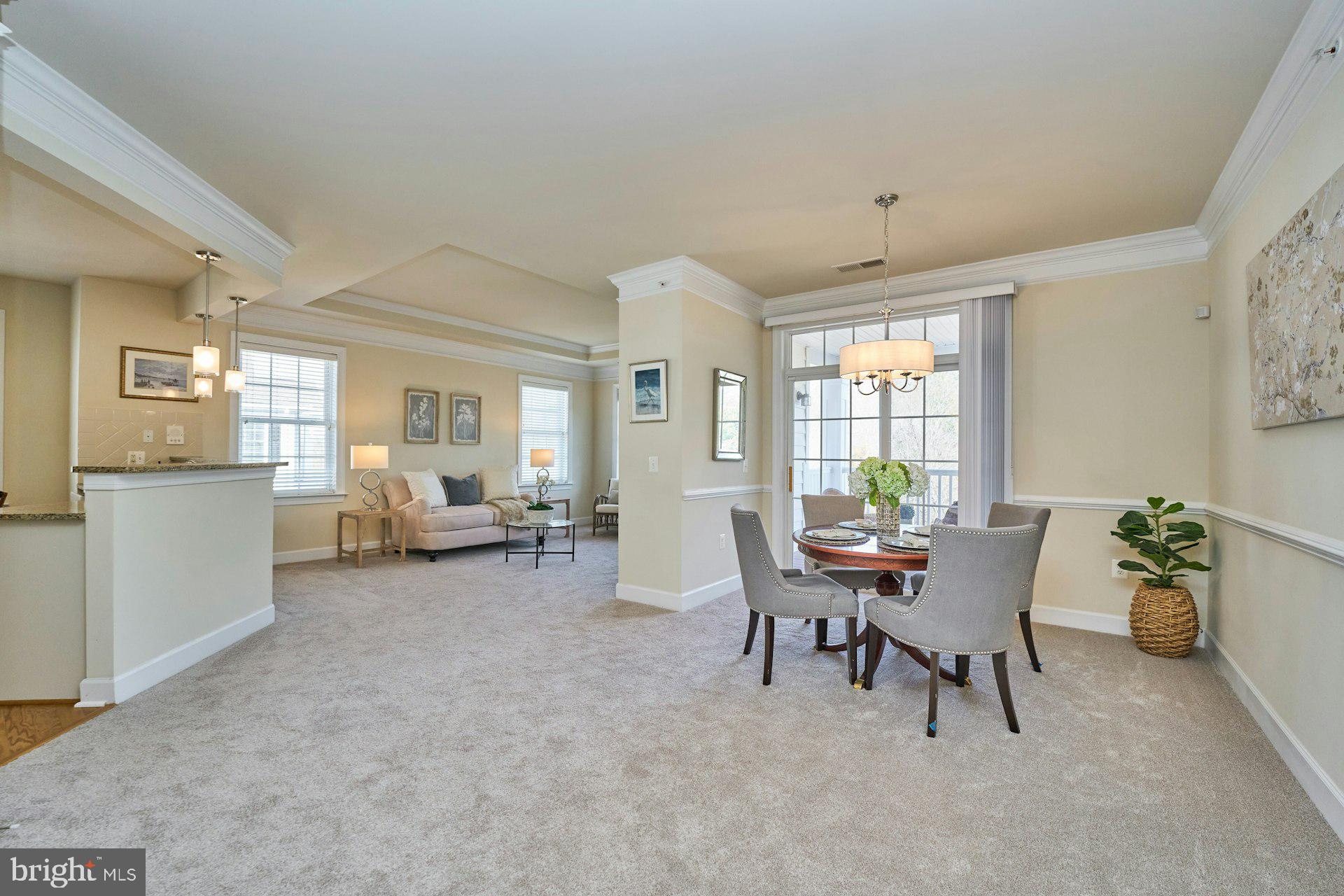 REGENCY AT DOMINION VALLEY - Residential