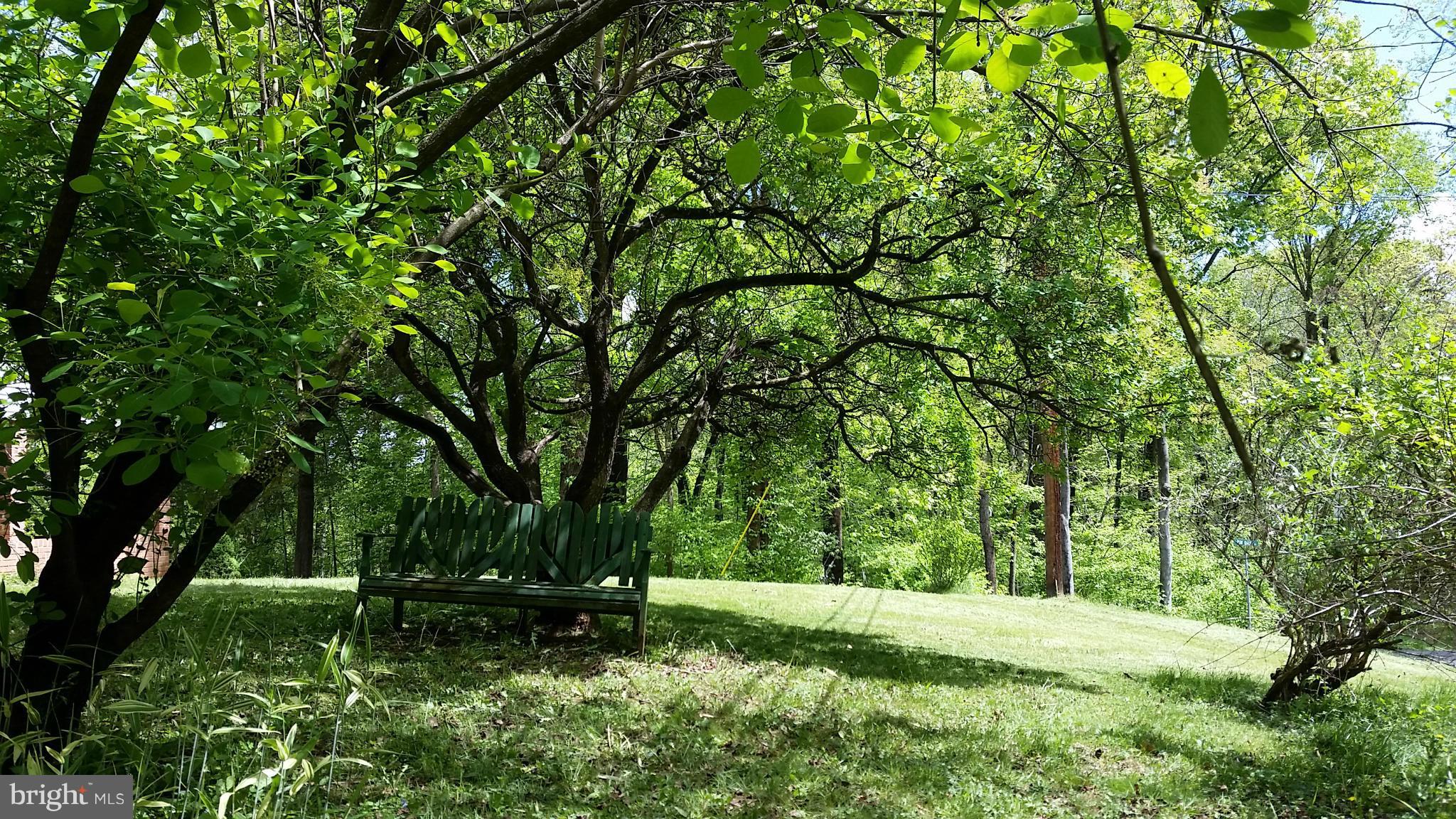 SHEN SHORES - Residential