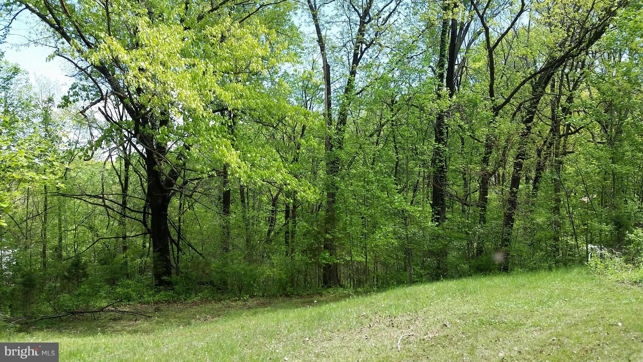 SHEN SHORES - Residential