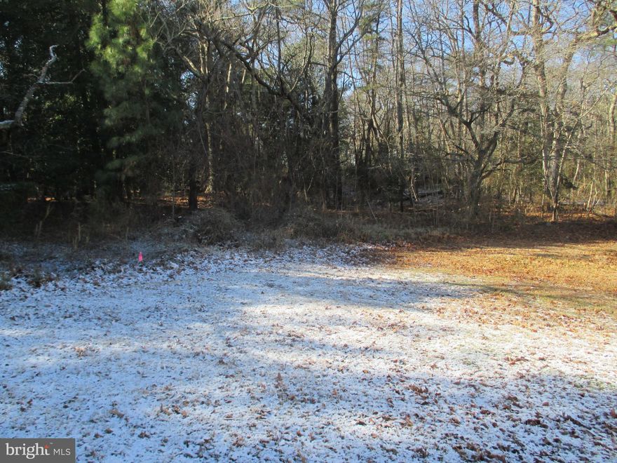 2.38 Acres of land on Bunting Road North of the Town of Dagsboro plenaty of room for pole barn, huse, pool etc. 2 old houses on the property considered of no value, being sold in "AS IS" condition removal to be done by the purchaser at their expense!
