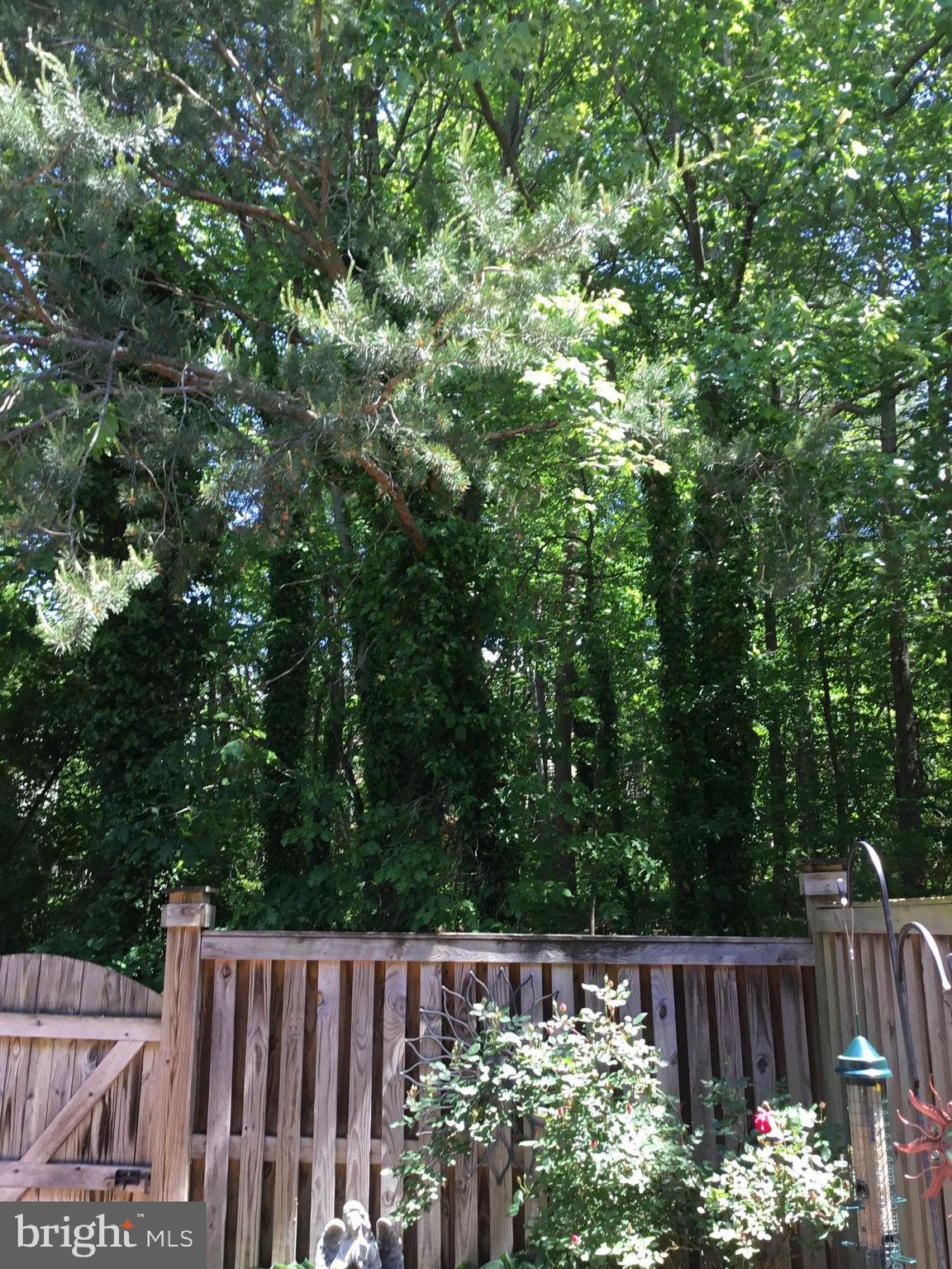 RIDGEWOOD - Residential Lease