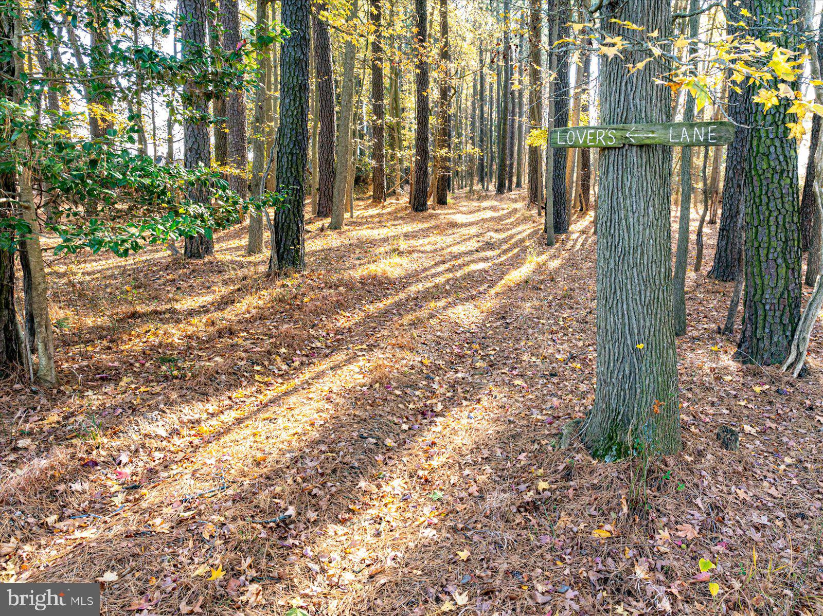 EASTERN NECK - Residential