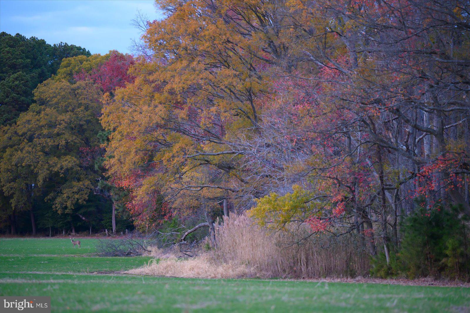 EASTERN NECK - Residential