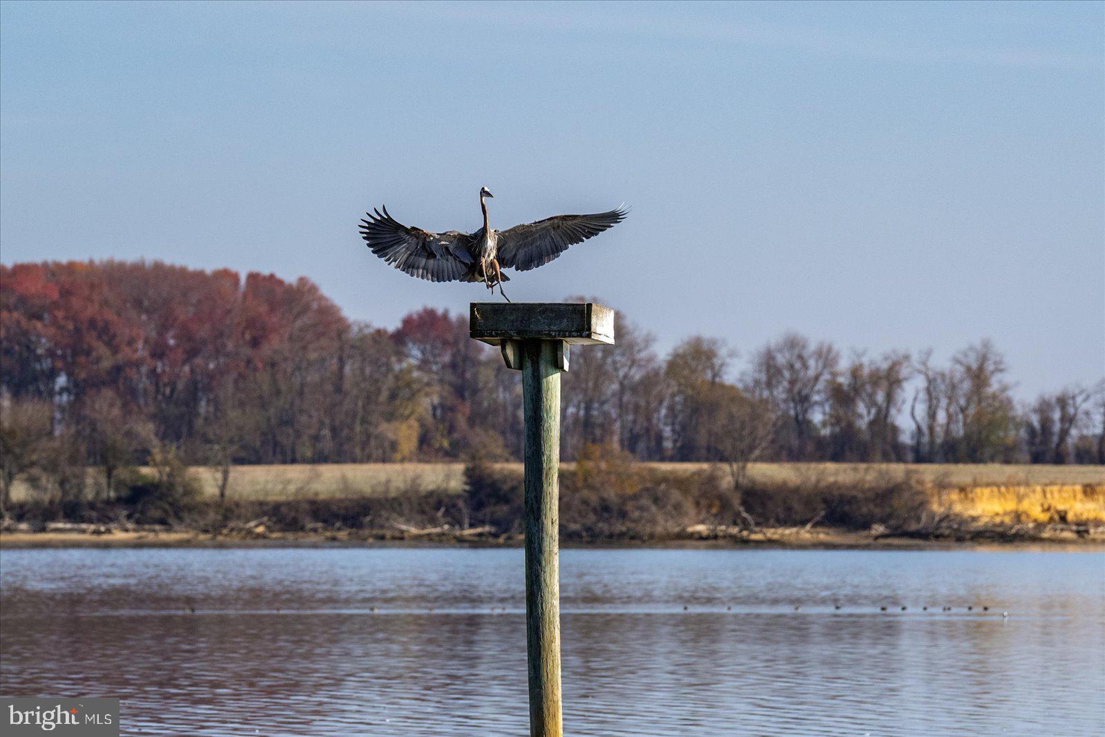 EASTERN NECK - Residential
