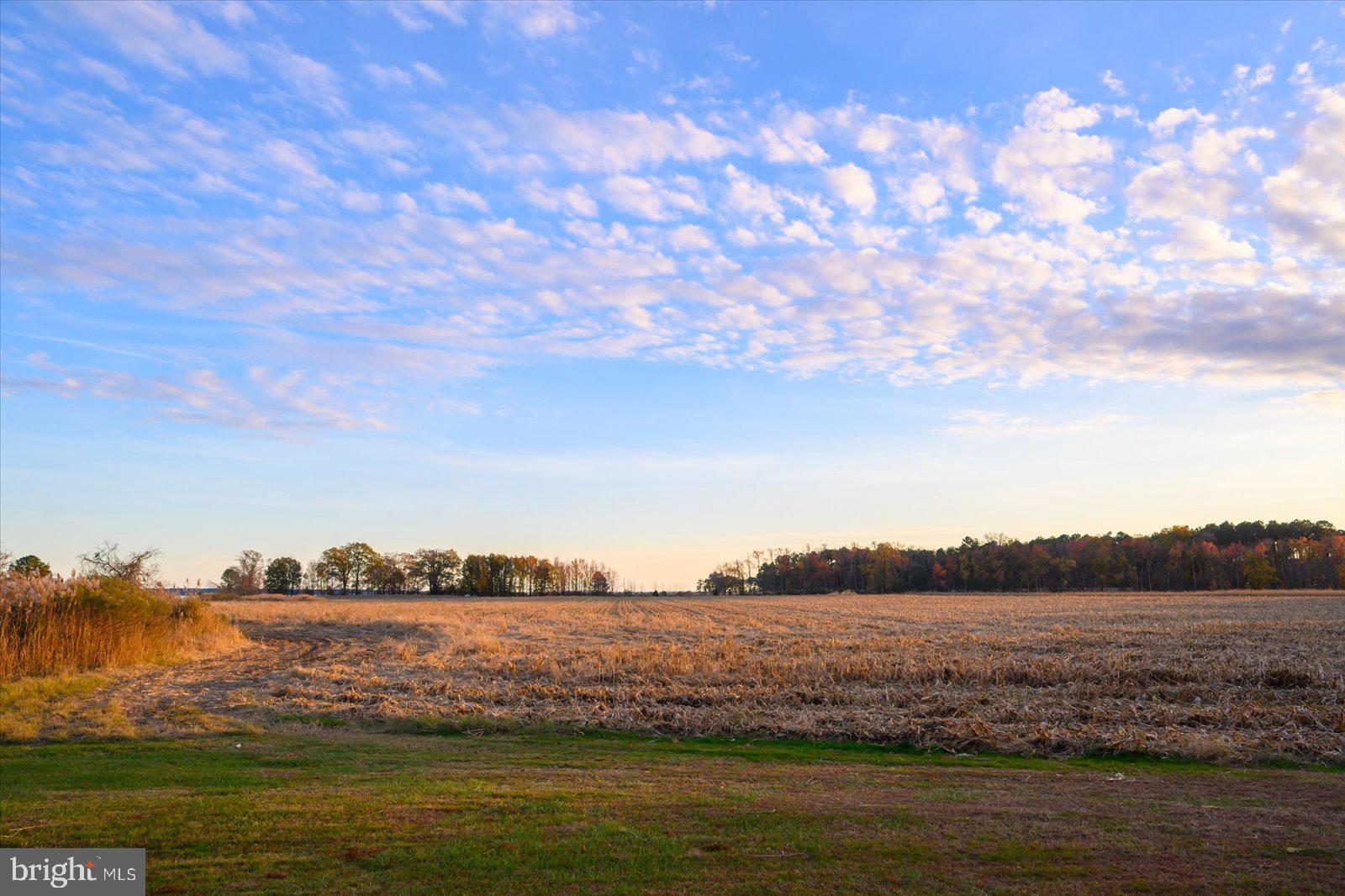 EASTERN NECK - Residential