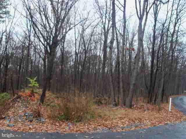 Beautiful approved wooded building lot perfect for the wildlife enthusiast. Lot within feet of Michaux State Forest and offers many possibilities. Call for settlement and lot improvements. Taxes are estimated.