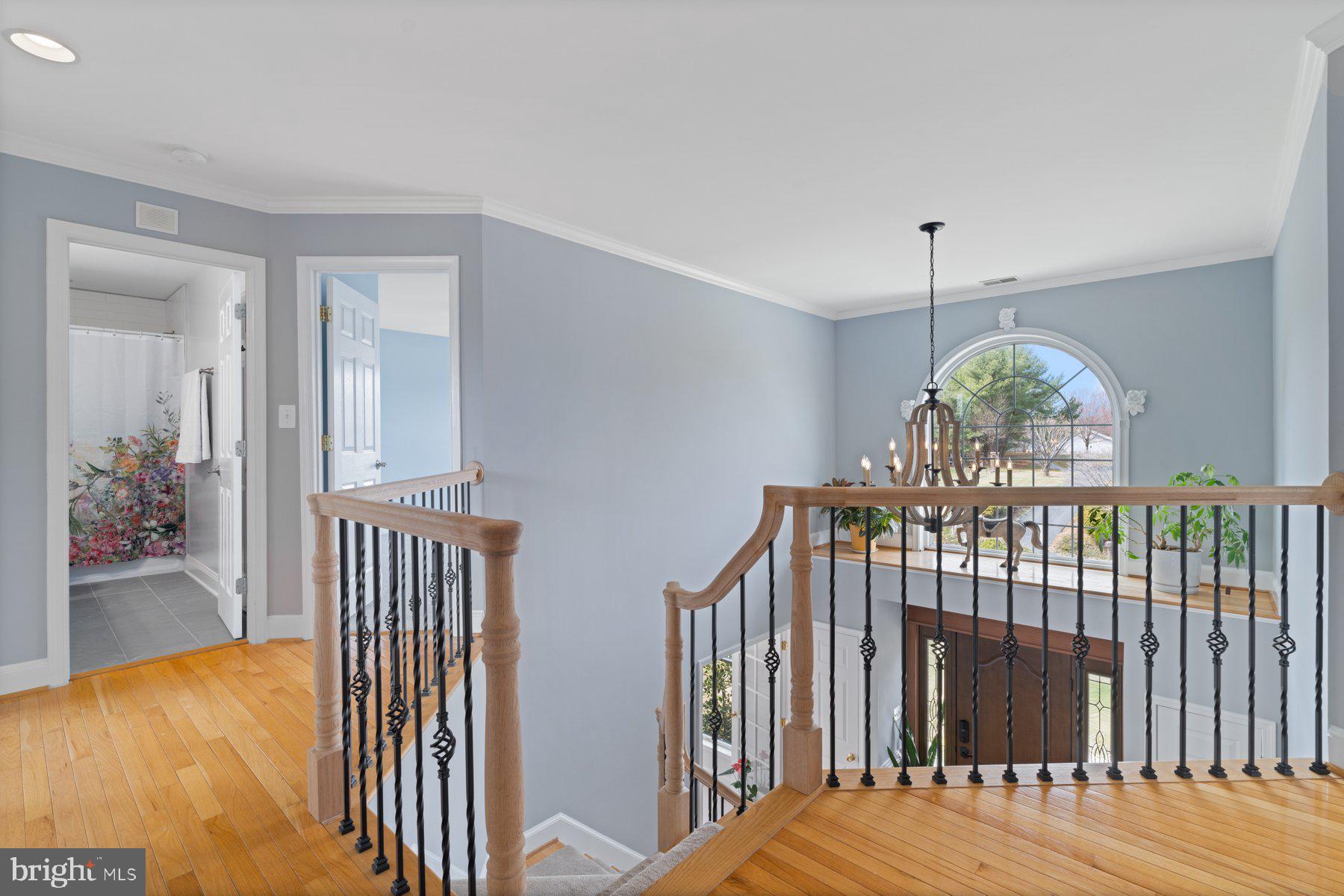 CAMDEN DOWNS - Residential