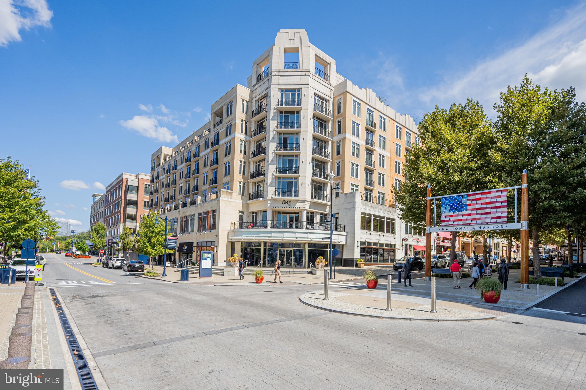 155 POTOMAC PASSAGE 319