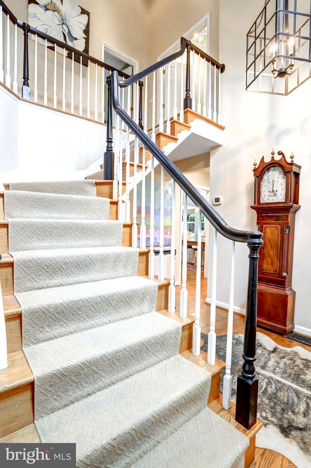 COLLEGE PARK - Residential