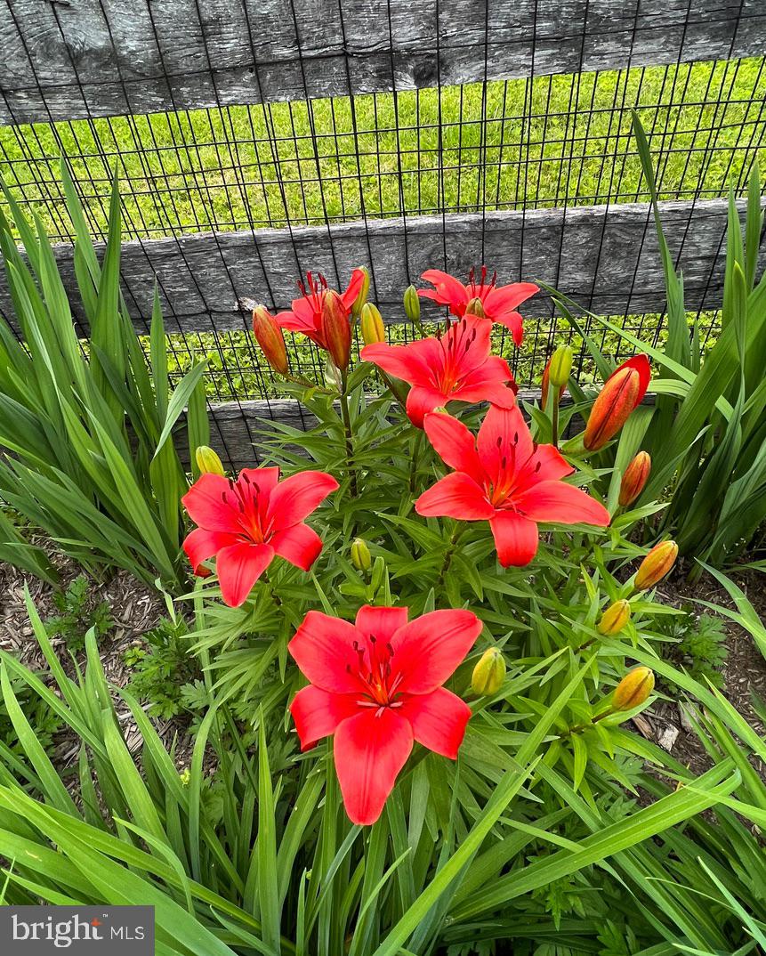 CRESCENT HILLS ESTATES - Residential