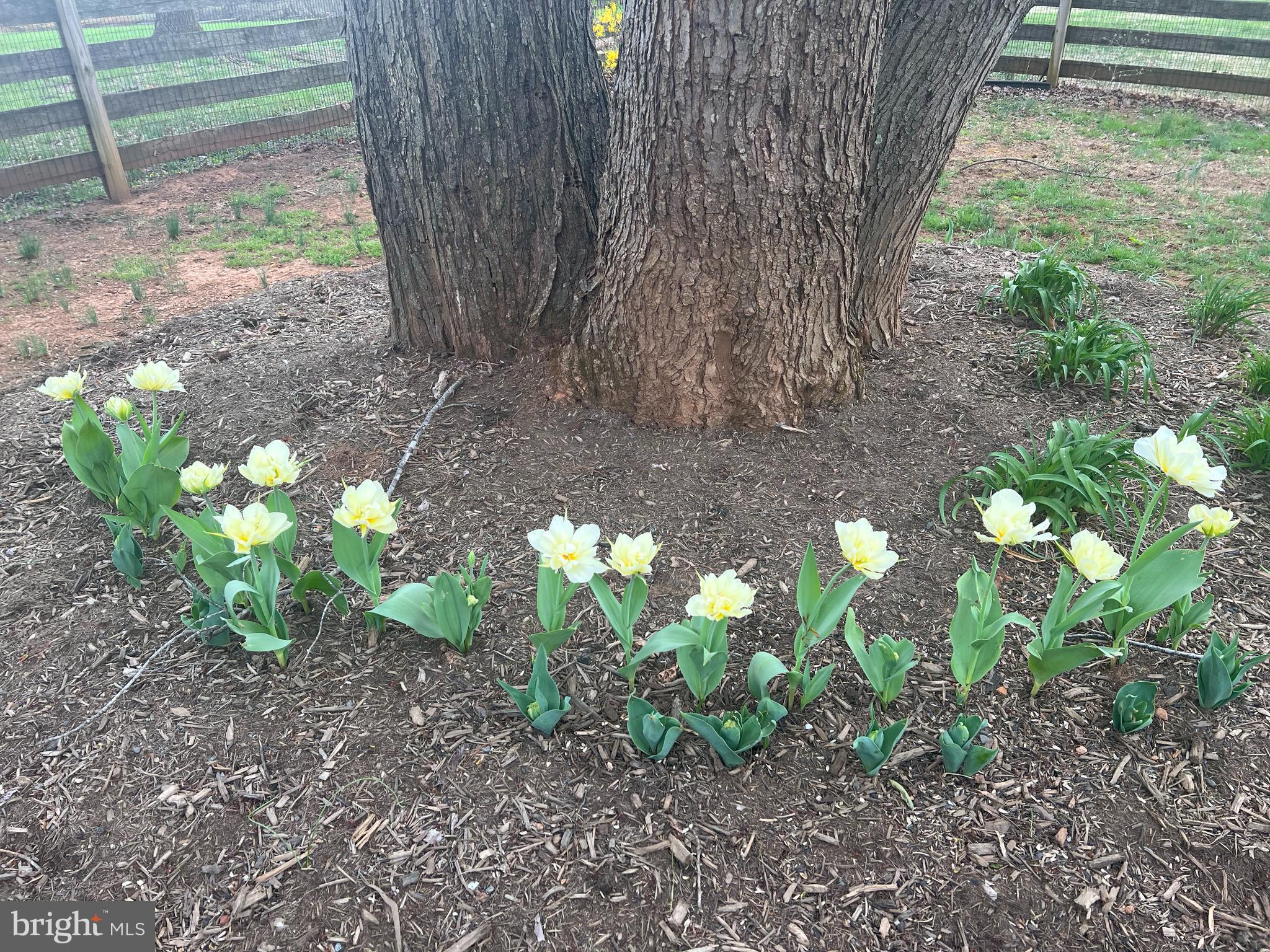 CRESCENT HILLS ESTATES - Residential