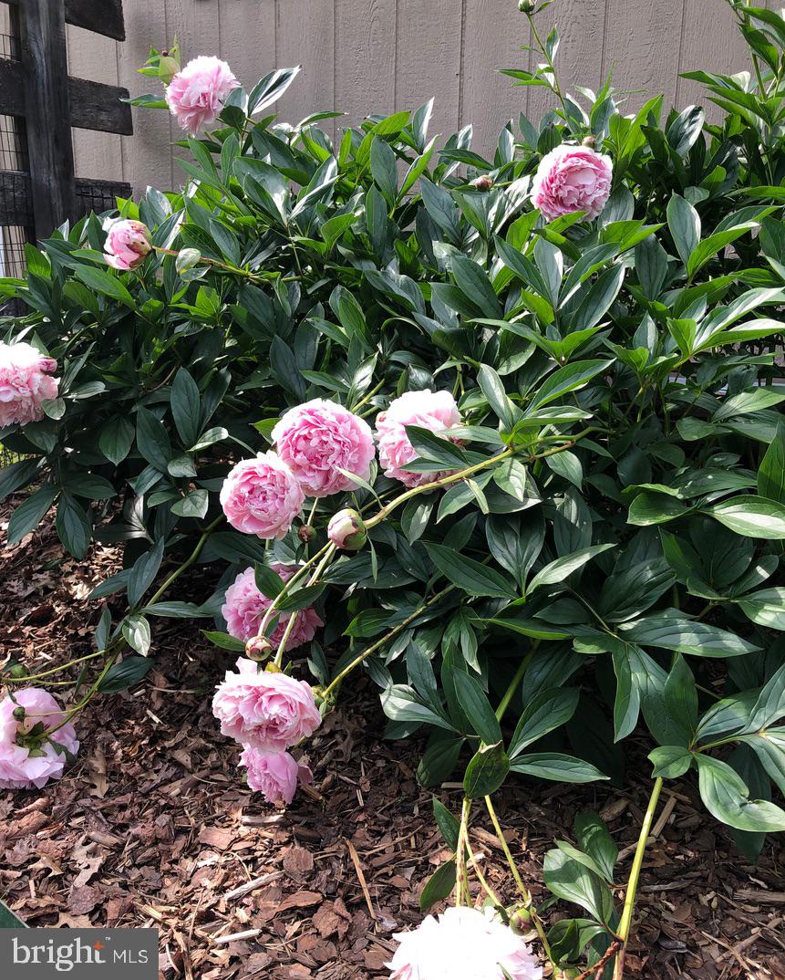 CRESCENT HILLS ESTATES - Residential