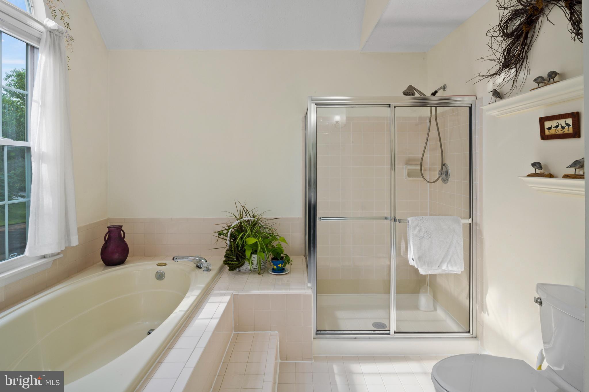 CHESTNUT FARMS - Residential