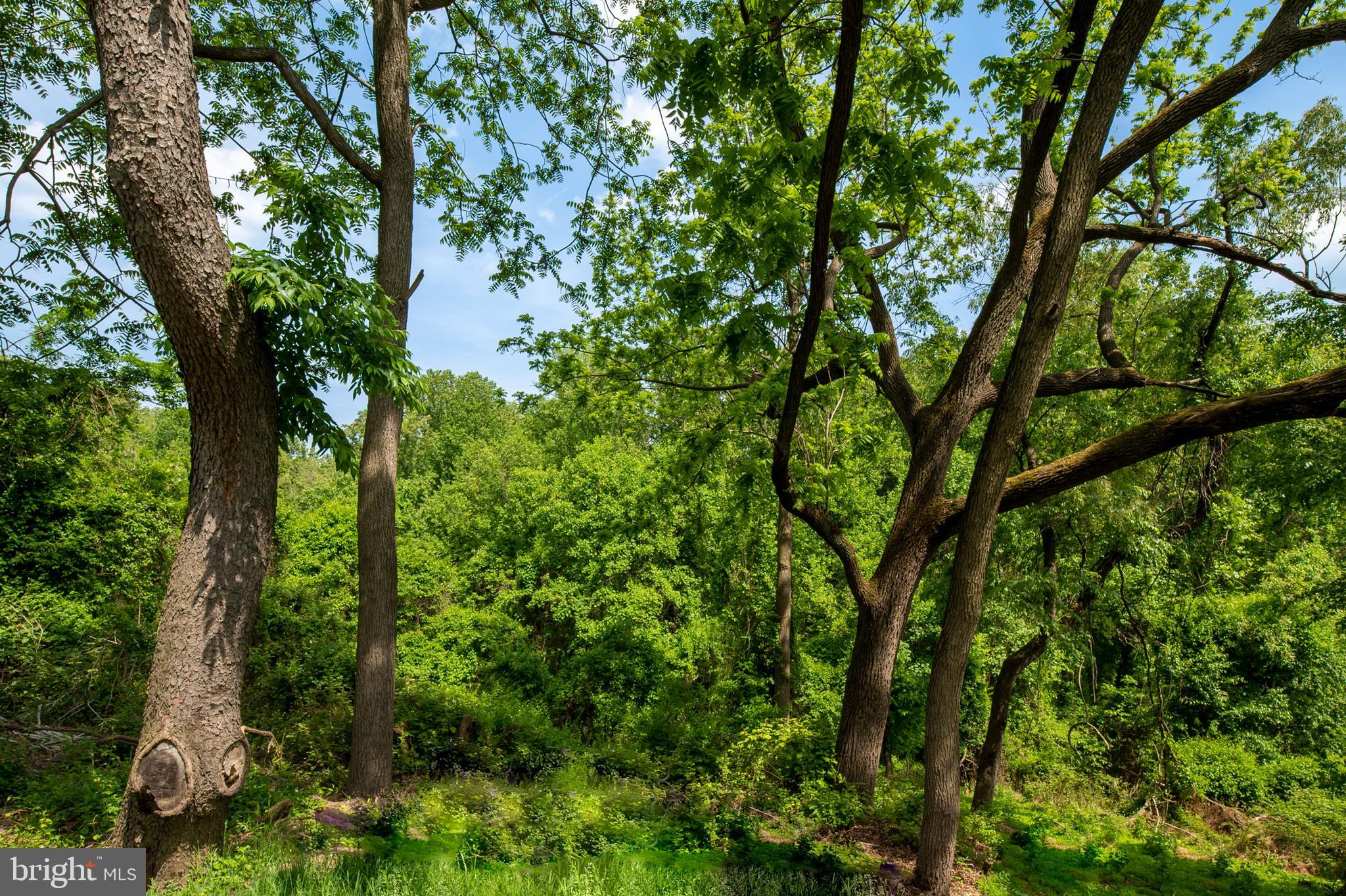 CHESTNUT FARMS - Residential