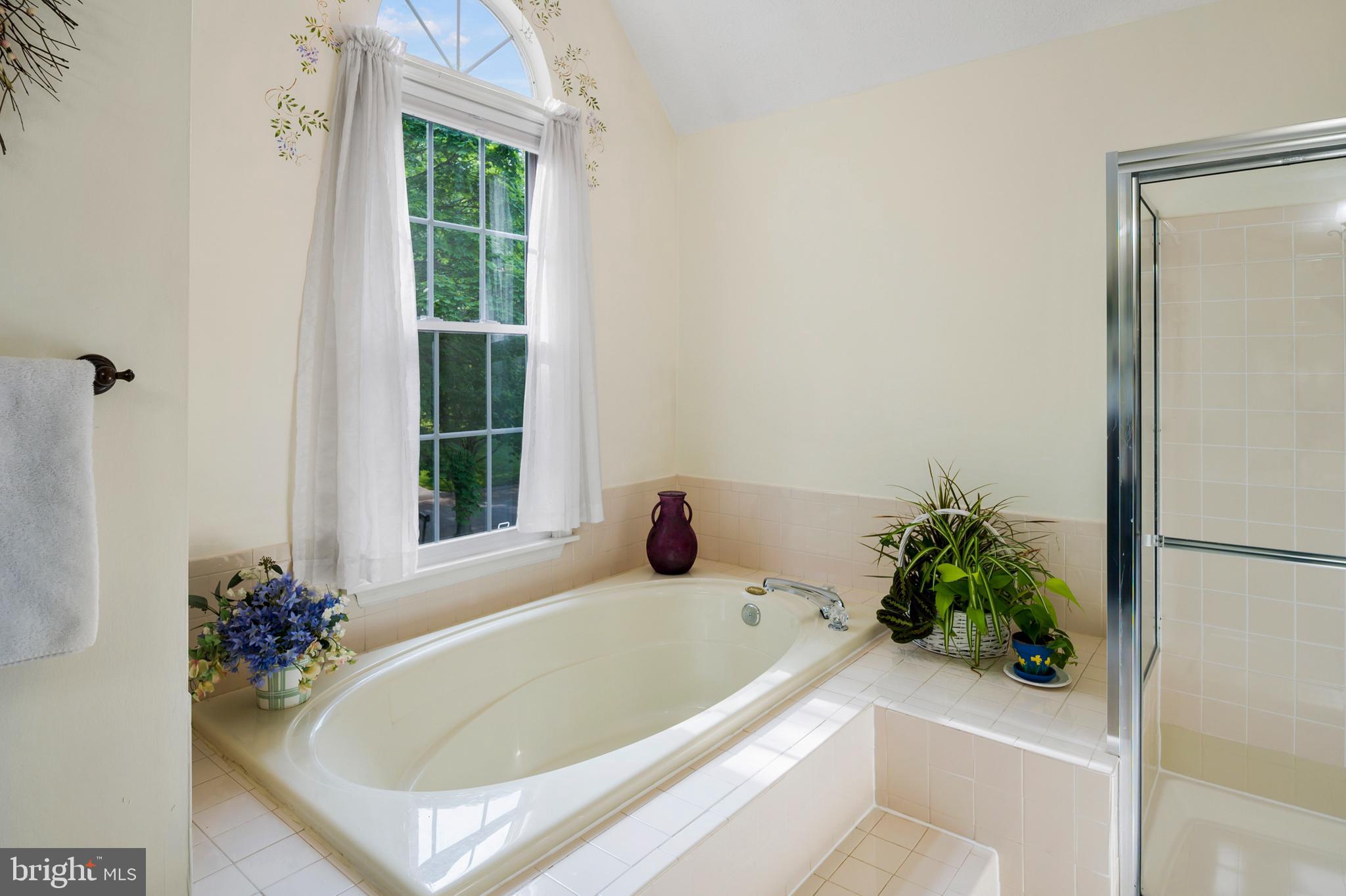 CHESTNUT FARMS - Residential