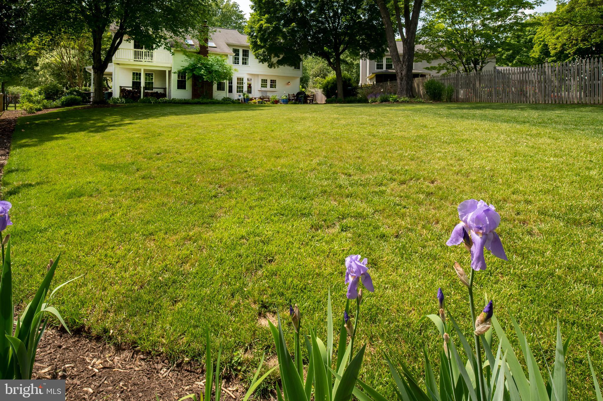 CHESTNUT FARMS - Residential
