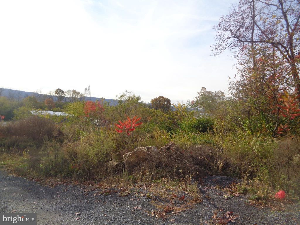Photo of Route 522, LEWISTOWN, PA 17044 (MLS # PAMF2052720)