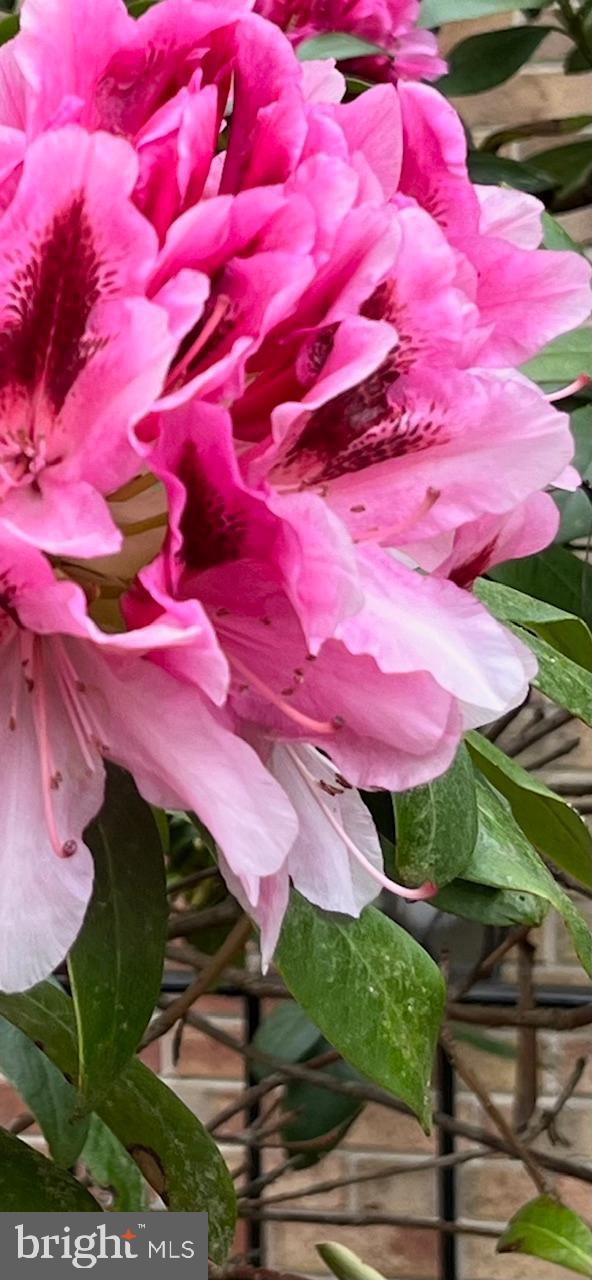 MARLTON - Residential