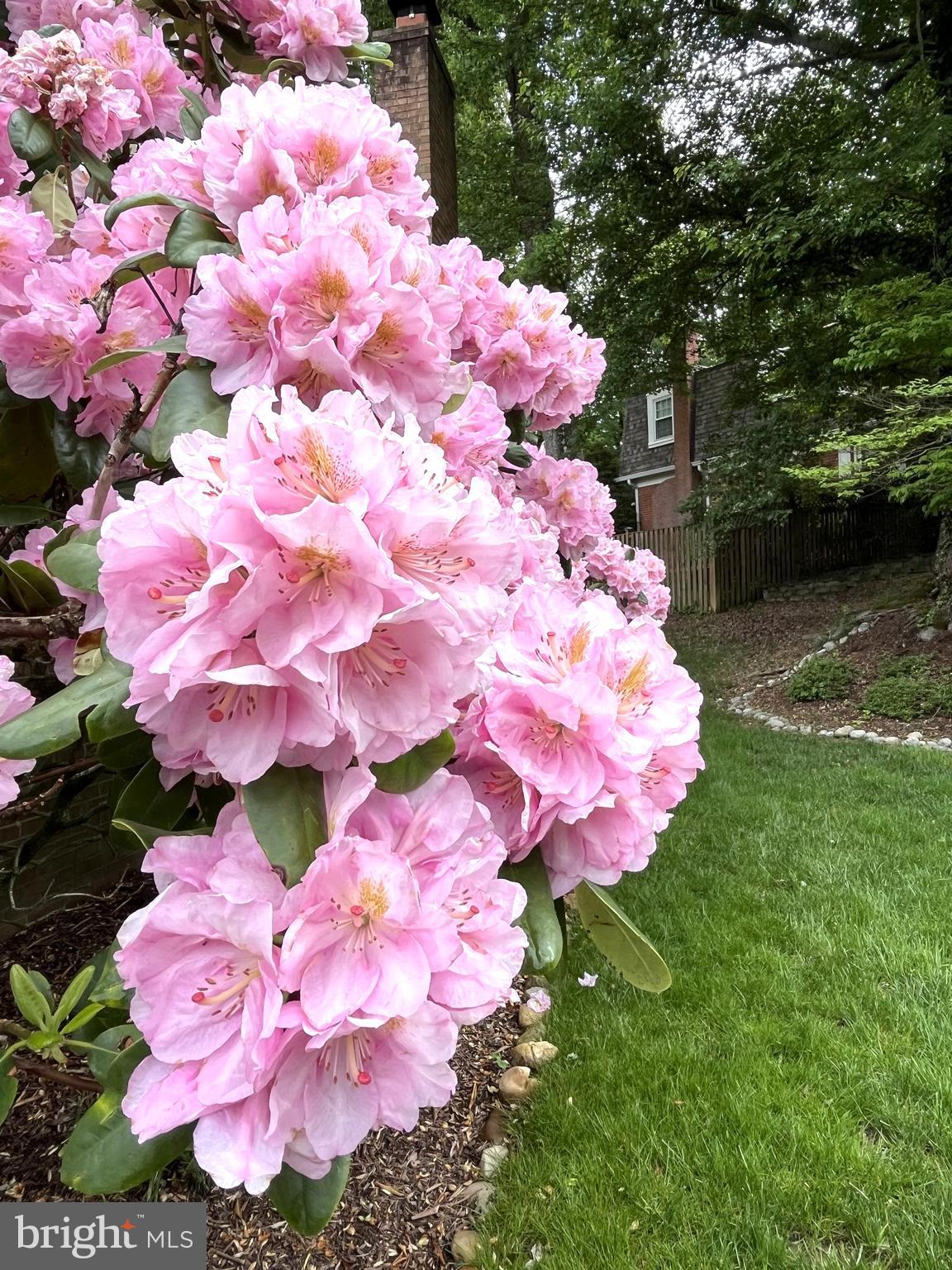 MARLTON - Residential