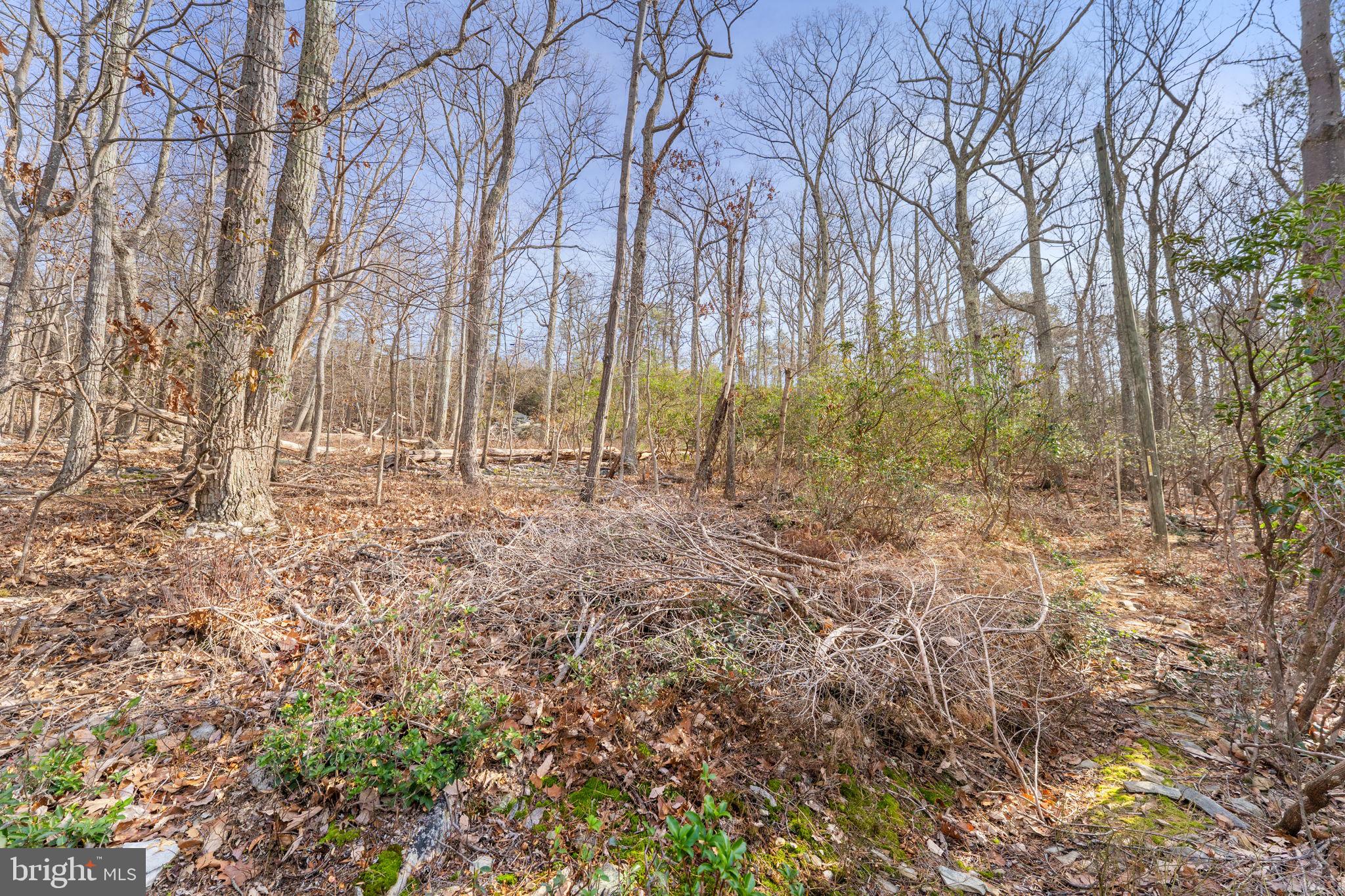 BULL RUN MOUNTAIN - Residential