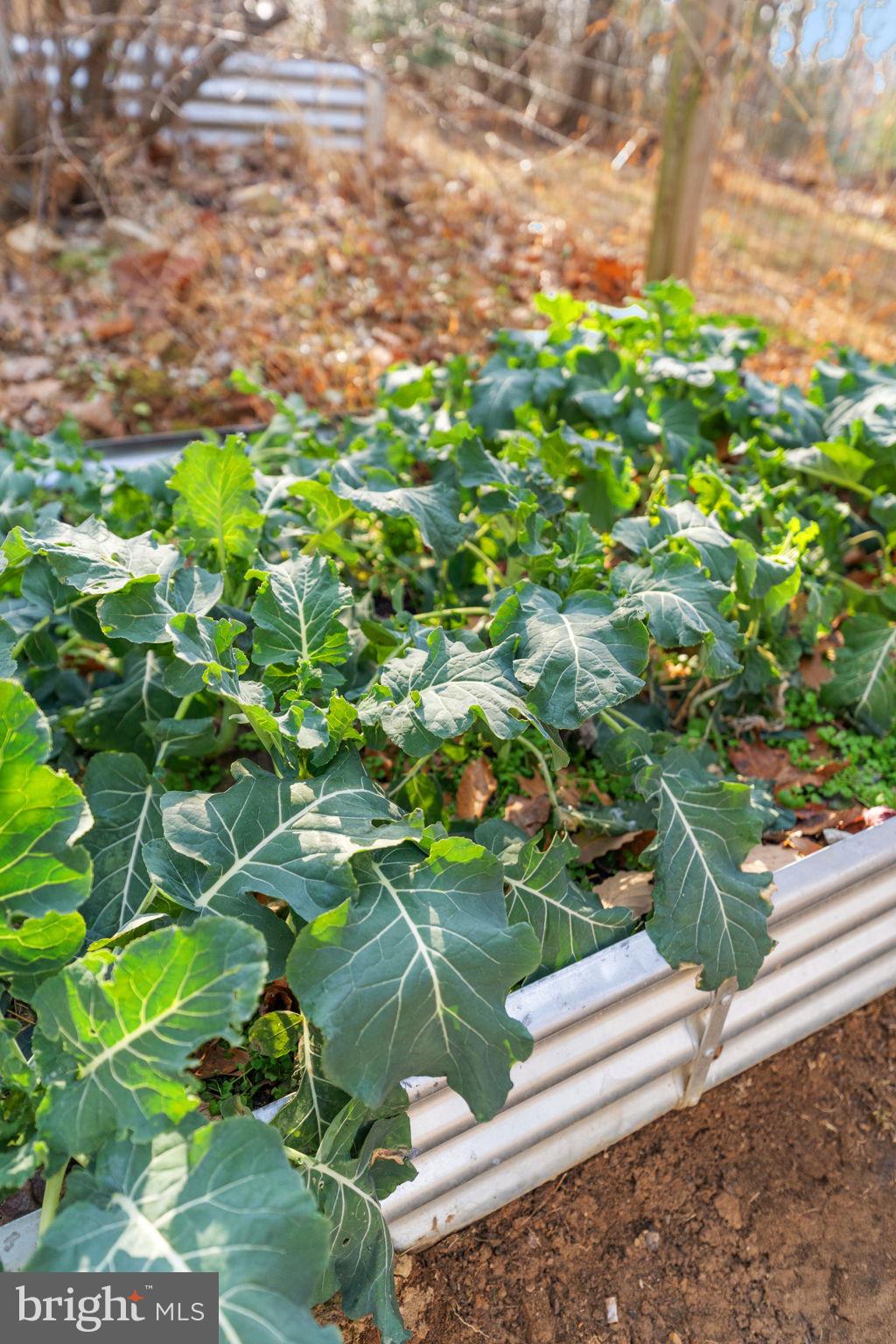 BULL RUN MOUNTAIN - Residential