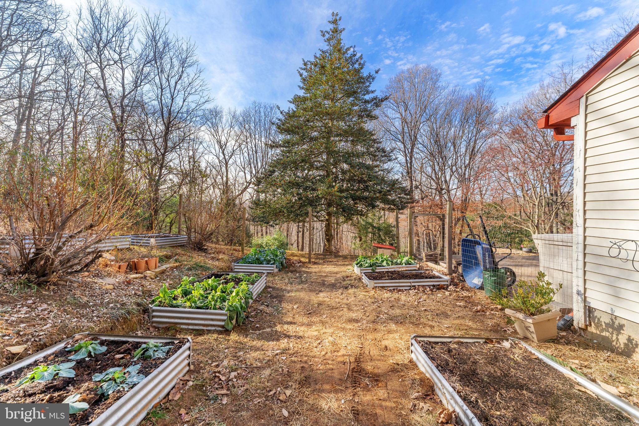 BULL RUN MOUNTAIN - Residential