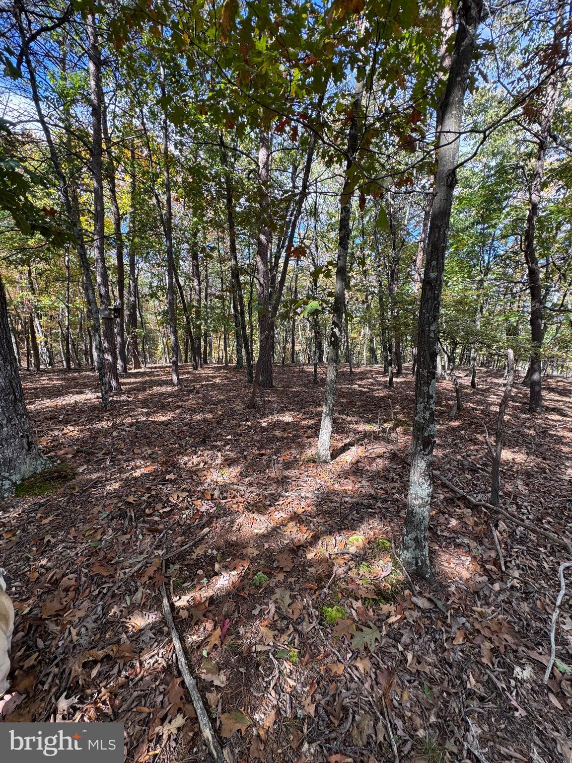 SOUTH MILL CREEK - Residential