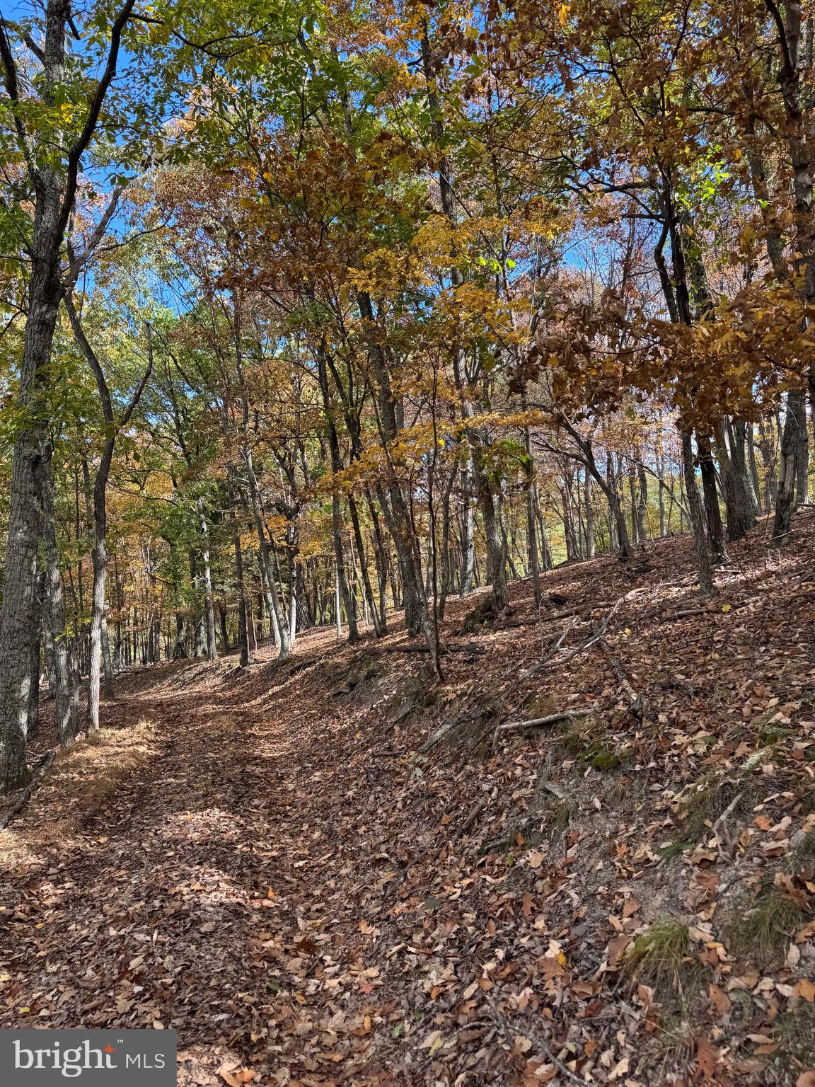 SOUTH MILL CREEK - Residential