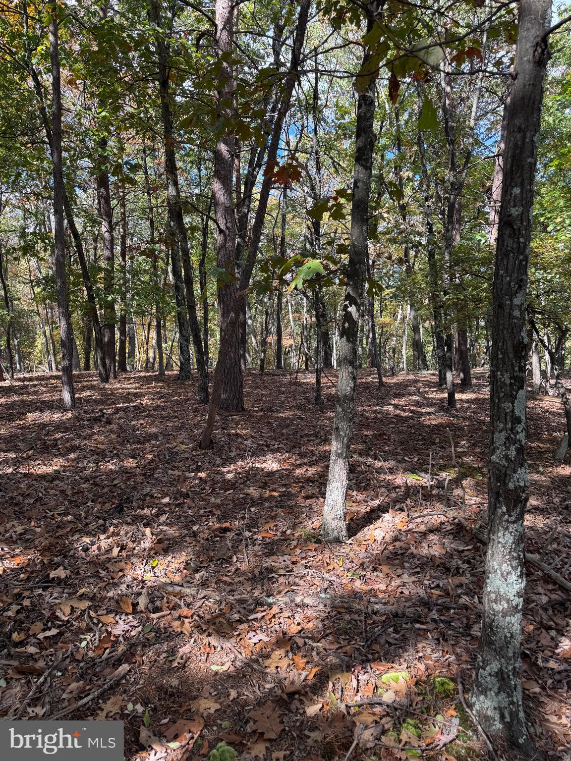 SOUTH MILL CREEK - Residential