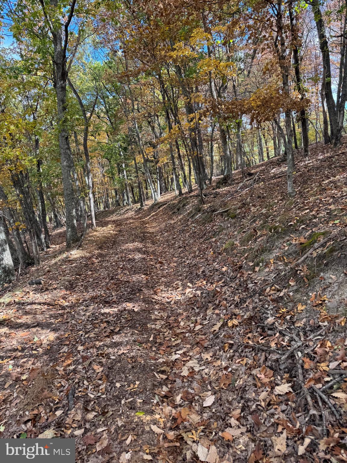 SOUTH MILL CREEK - Residential