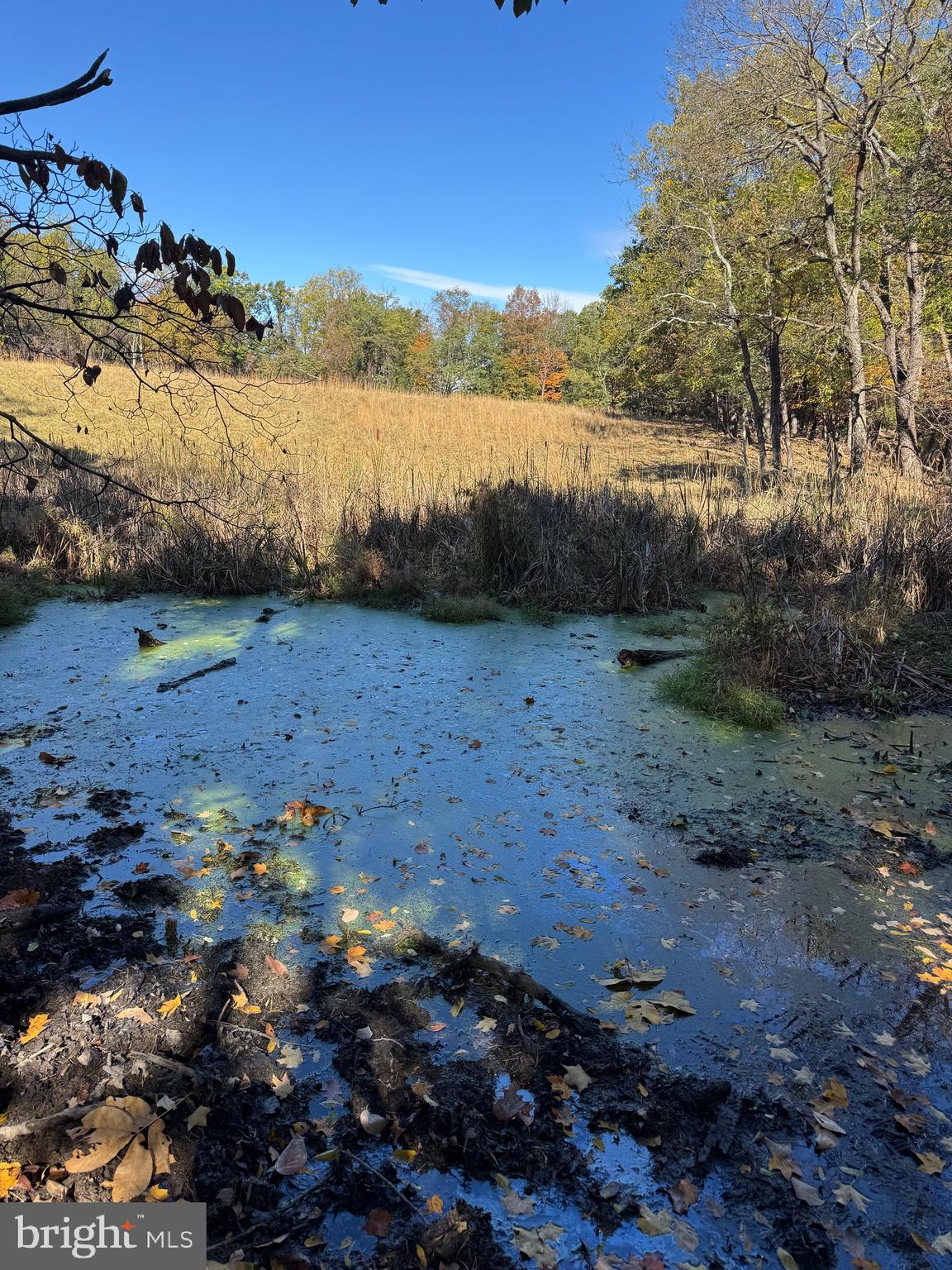 SOUTH MILL CREEK - Residential