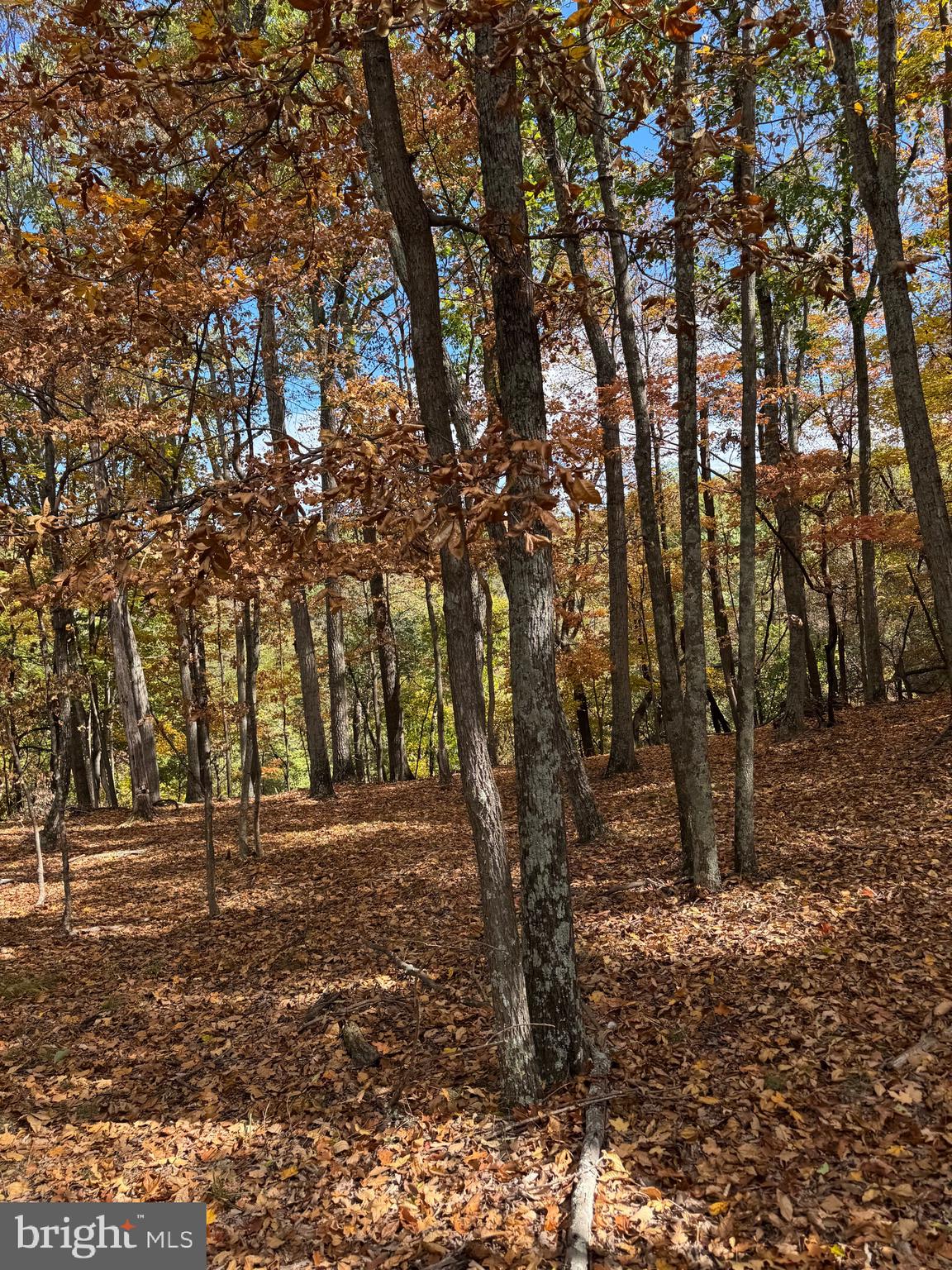 SOUTH MILL CREEK - Residential