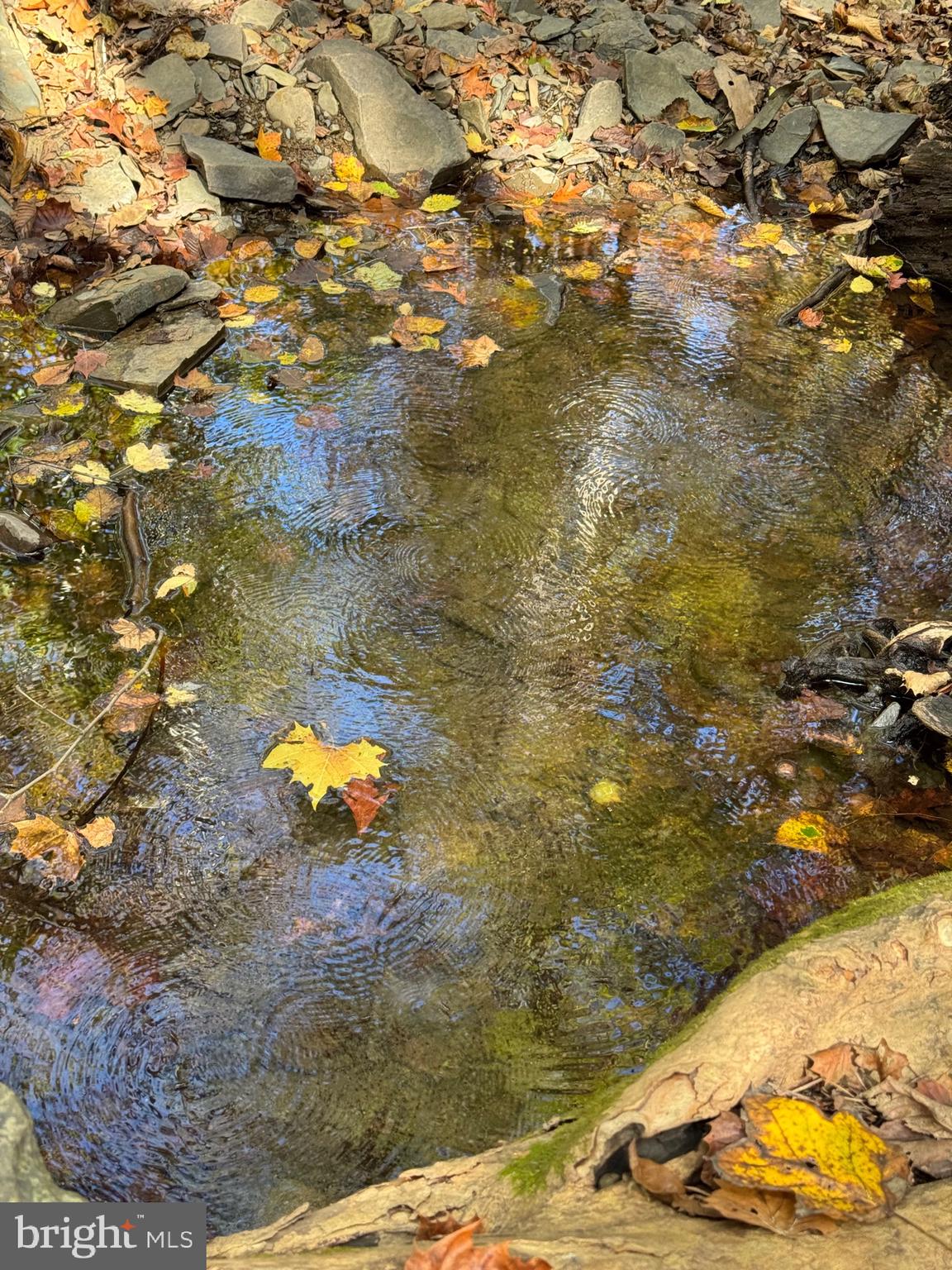 SOUTH MILL CREEK - Residential