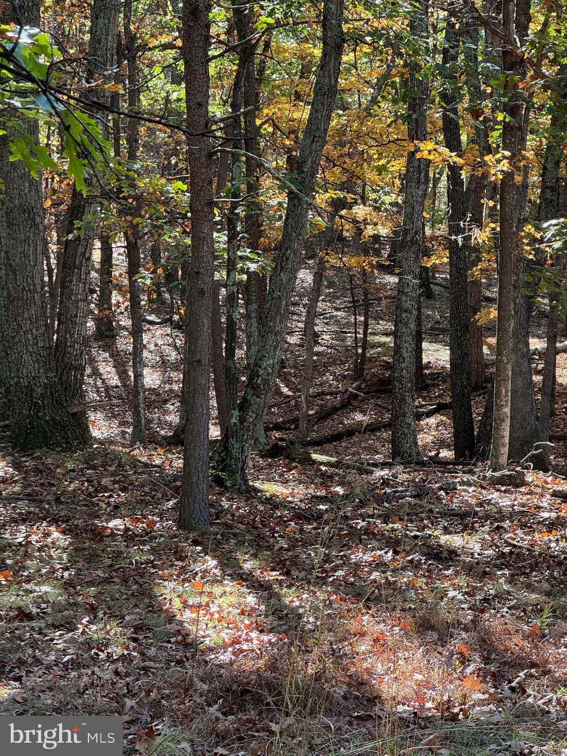 SOUTH MILL CREEK - Residential