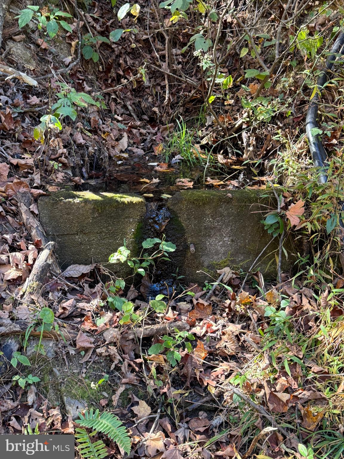 SOUTH MILL CREEK - Residential